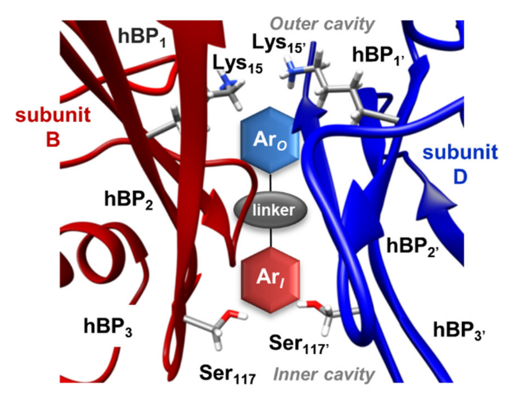 Molecules 25 02213 g003
