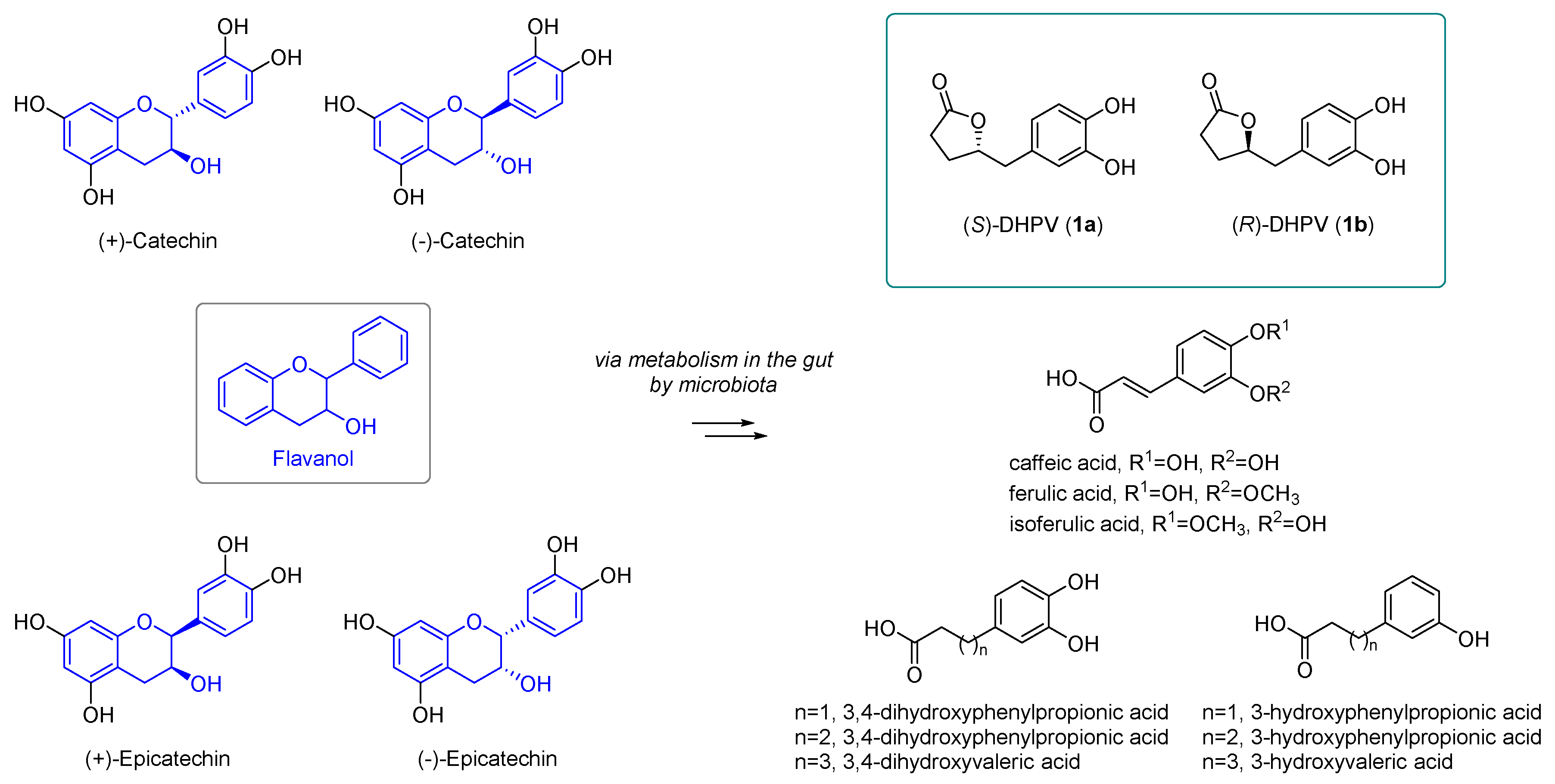 Molecules 25 02215 g001
