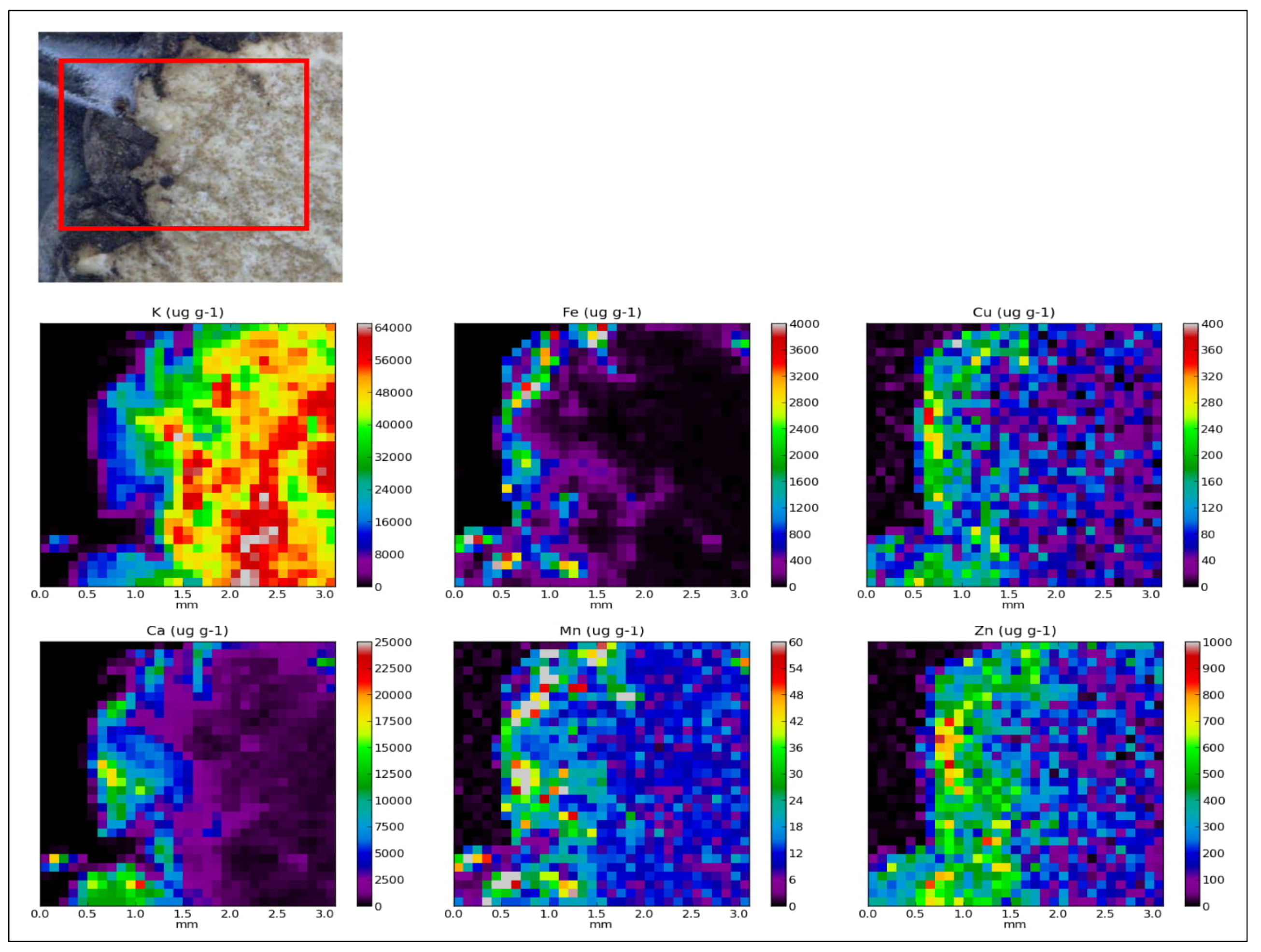 Molecules 25 02217 g001