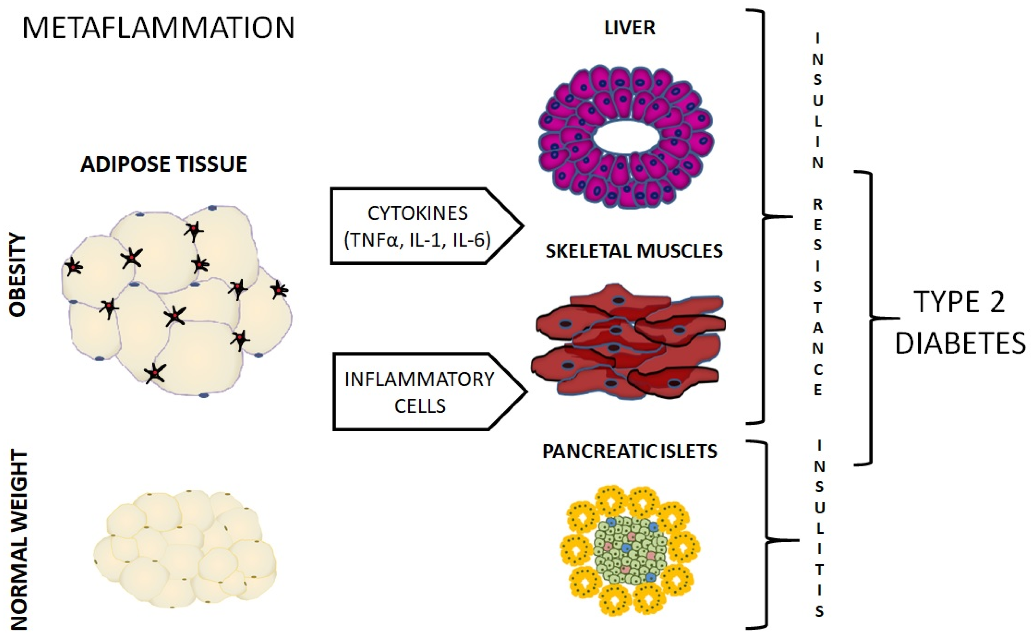 Molecules 25 02224 g001 Molecules 25 02224 g001