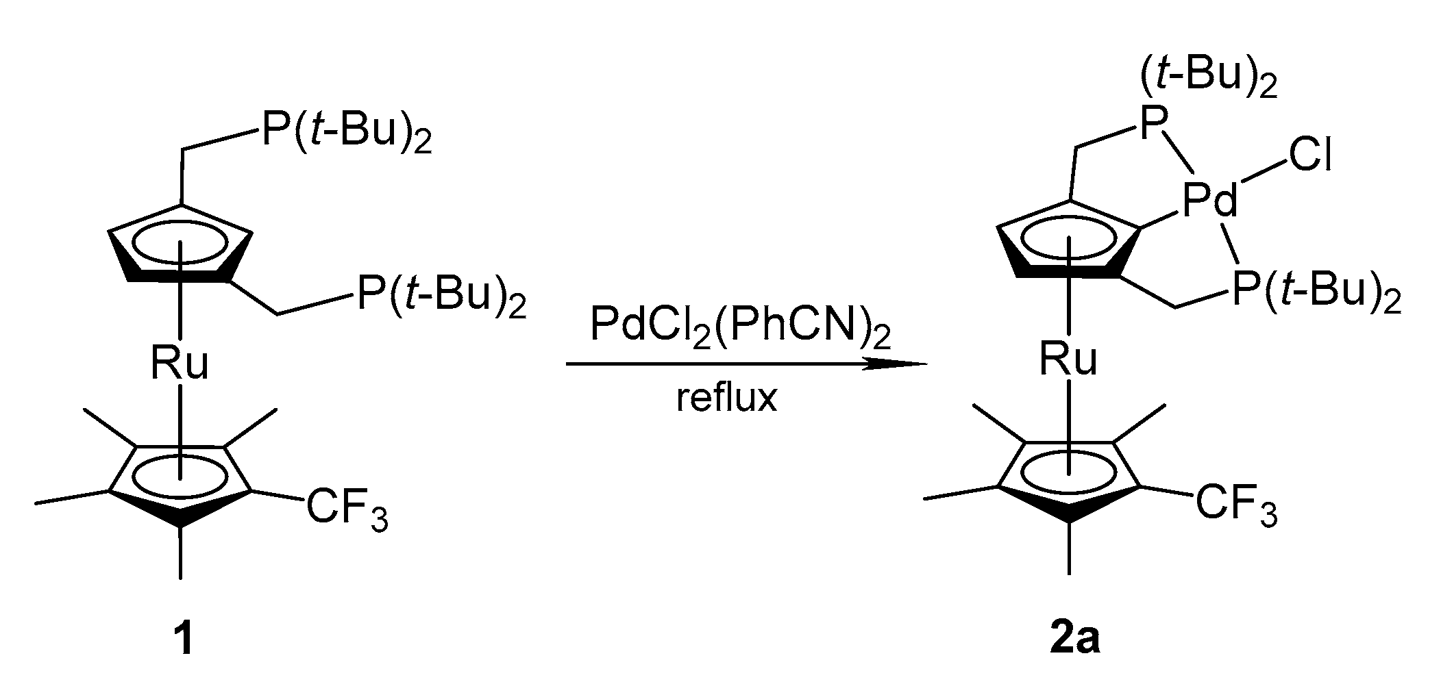 Molecules 25 02236 sch002