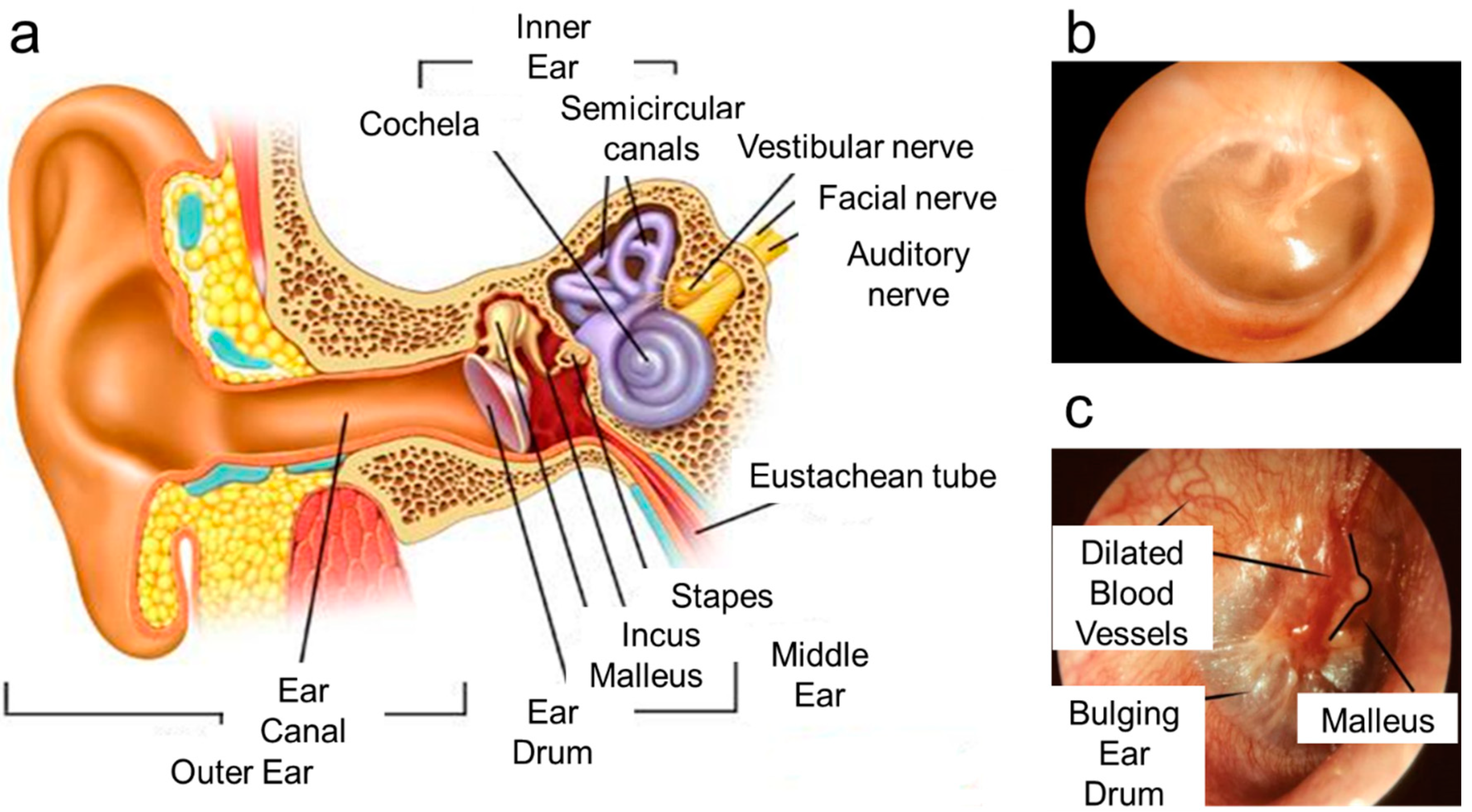 Molecules 25 02239 g001