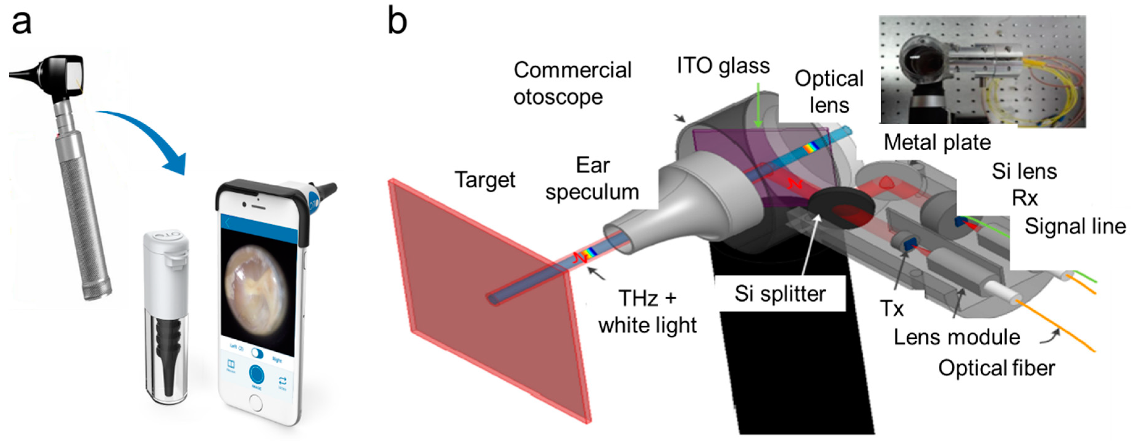Molecules 25 02239 g002