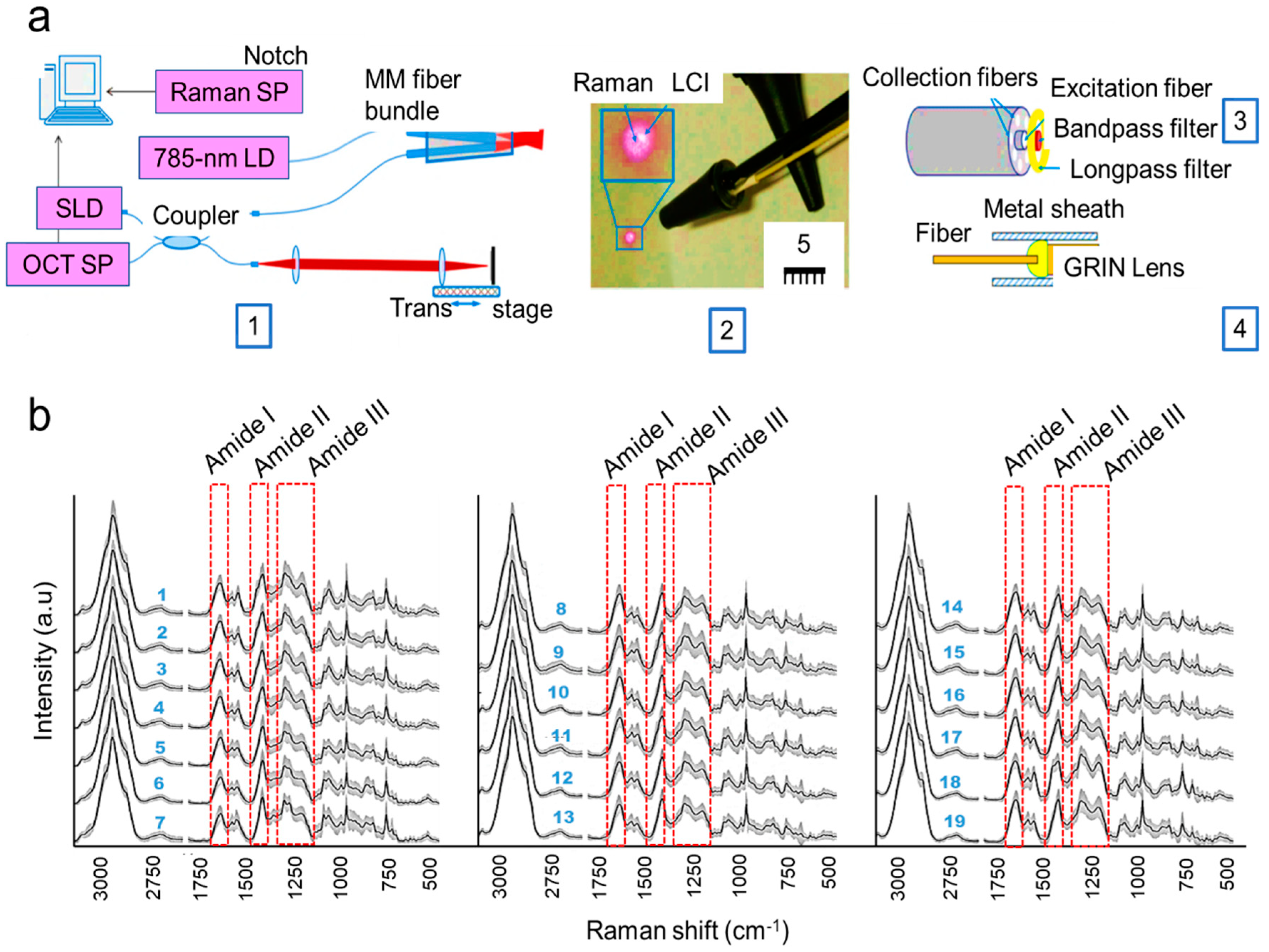 Molecules 25 02239 g003
