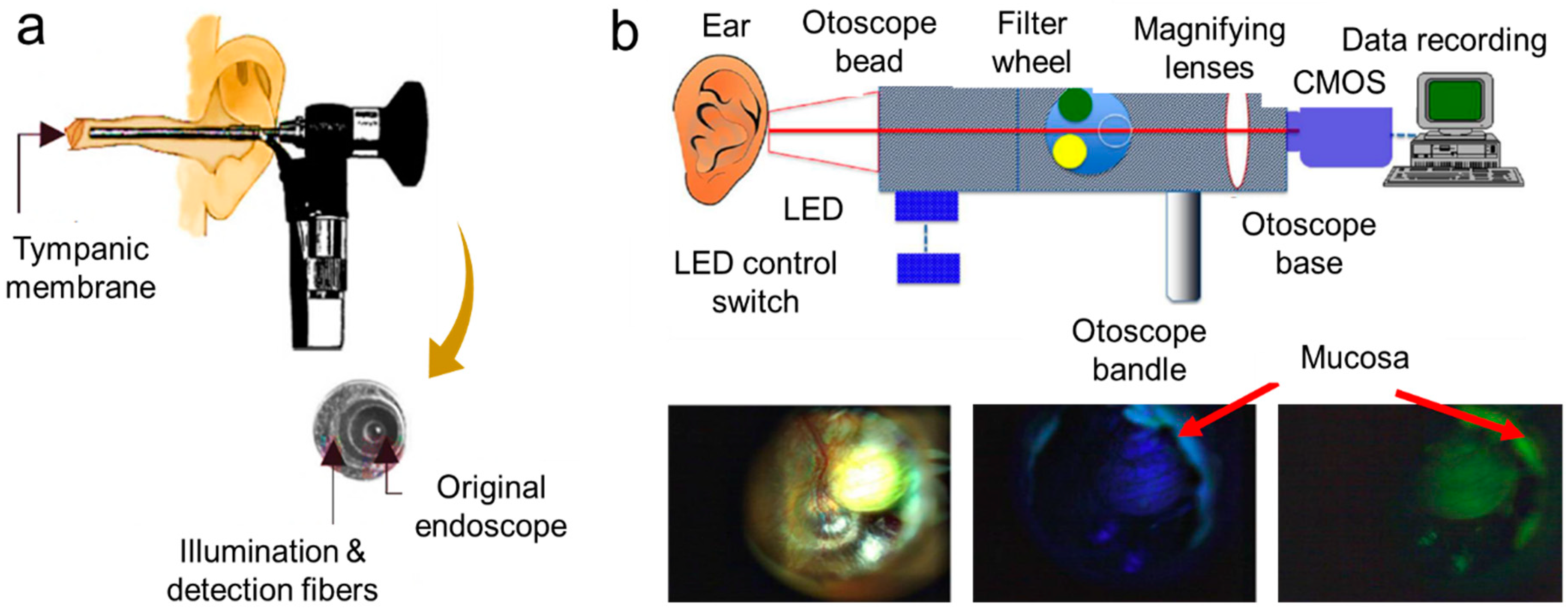 Molecules 25 02239 g004