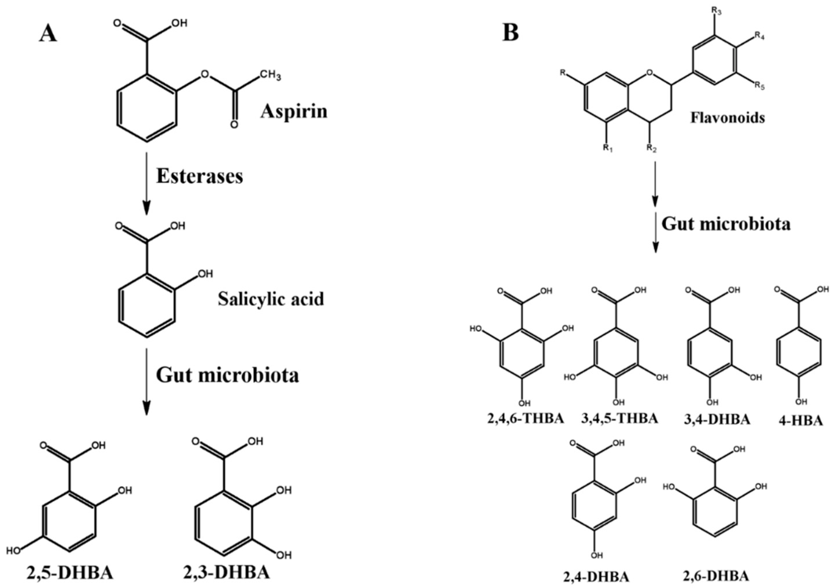 Molecules 25 02243 g002 Molecules 25 02243 g002