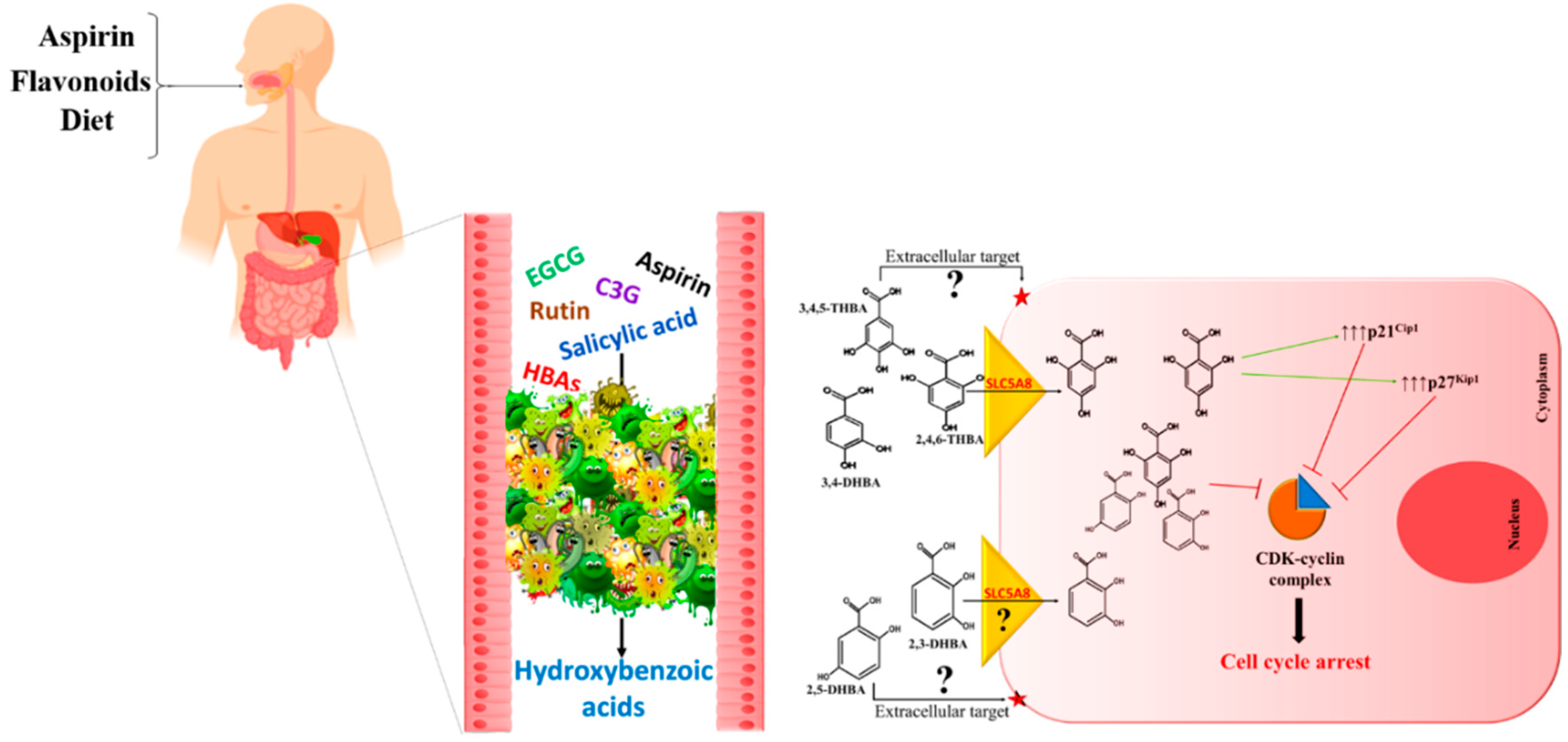 Molecules 25 02243 g003 Molecules 25 02243 g003
