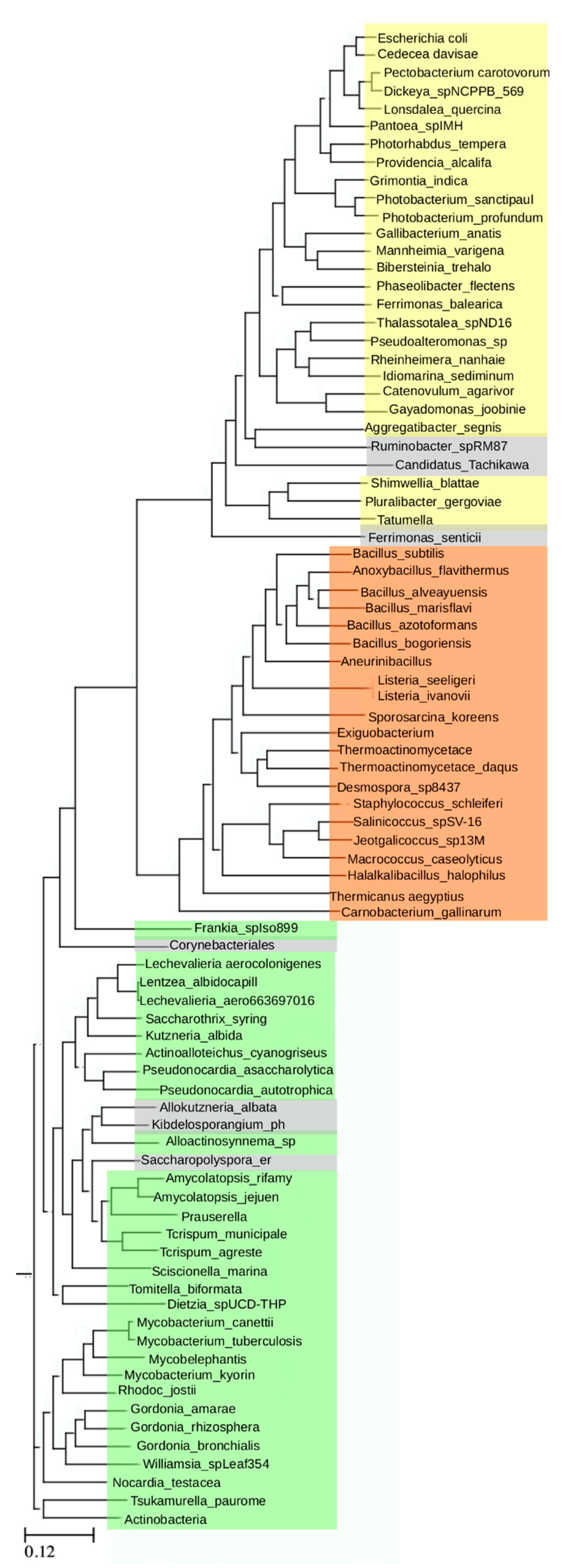 Molecules 25 02247 g002 Molecules 25 02247 g002