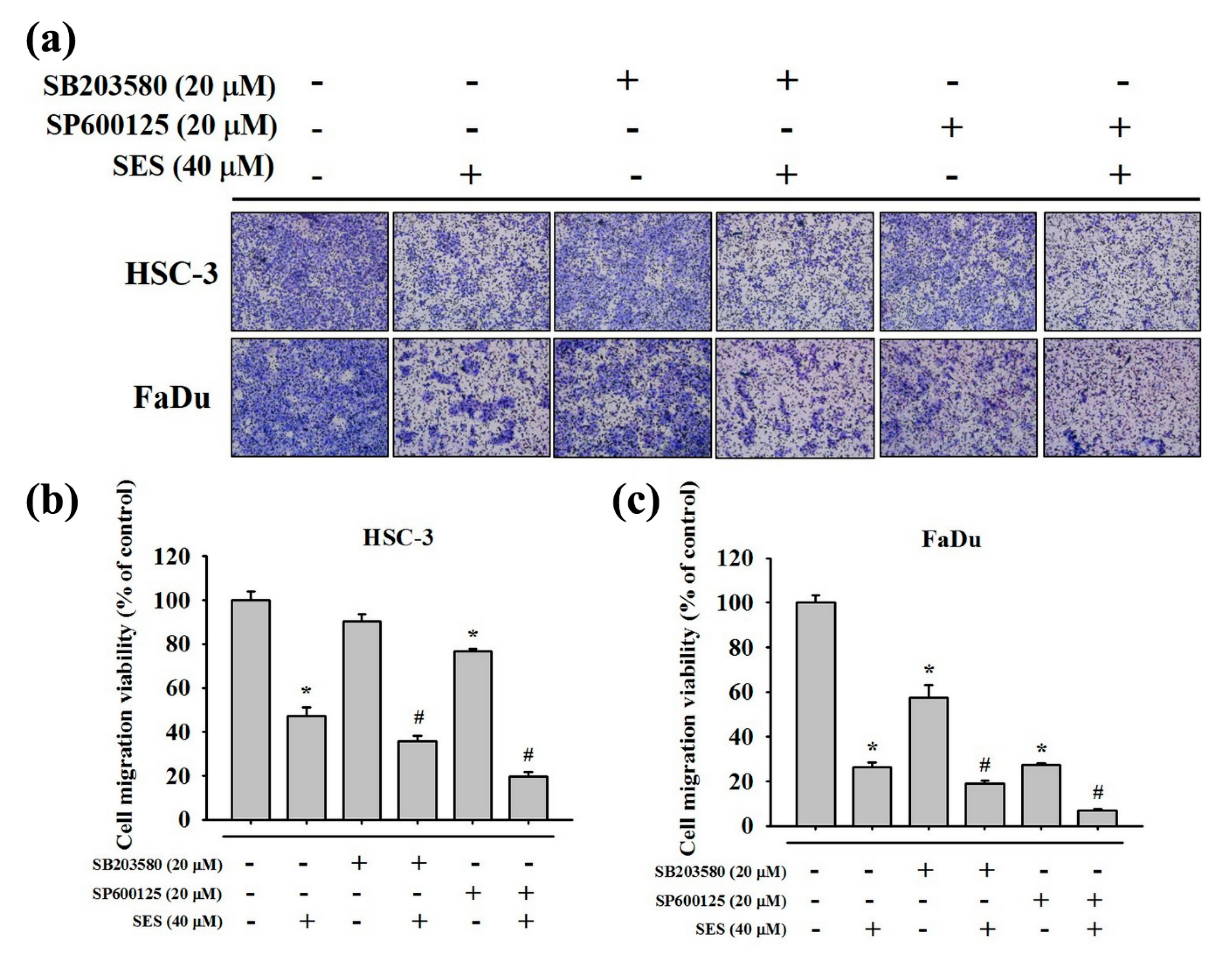 Molecules 25 02248 g008