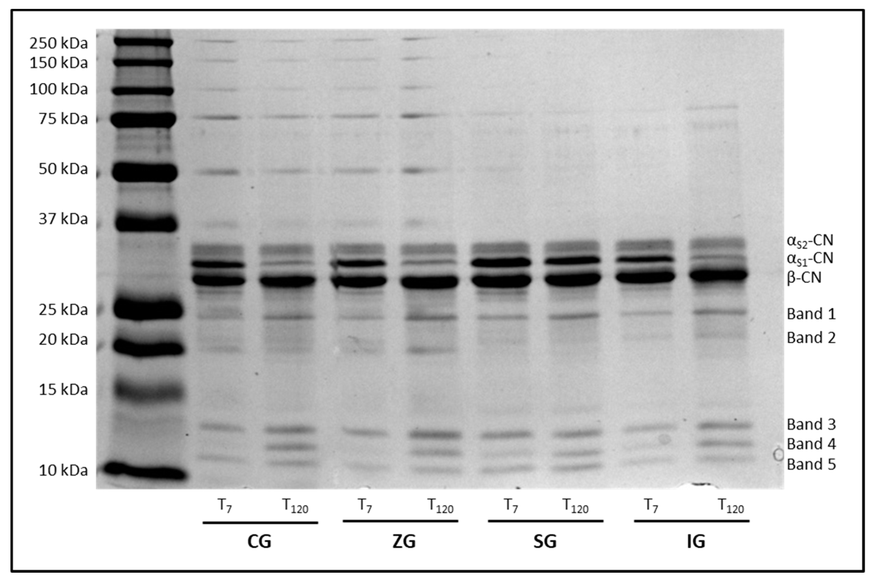 Molecules 25 02249 g003