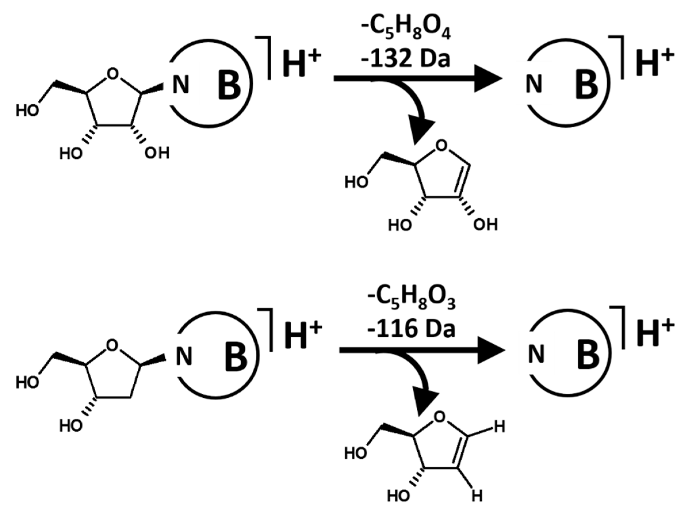 Molecules 25 02250 sch004