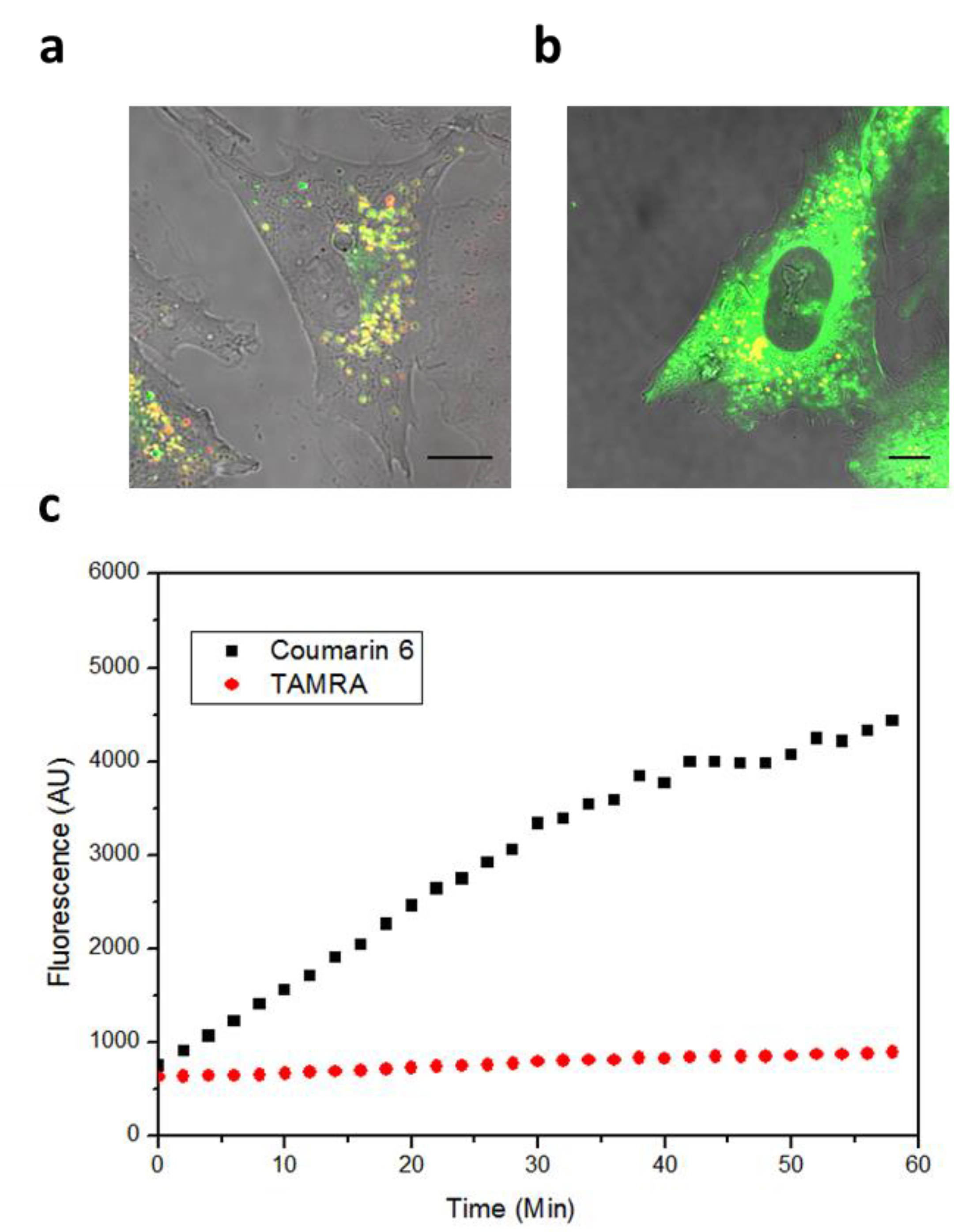 Molecules 25 02252 g001 Molecules 25 02252 g001