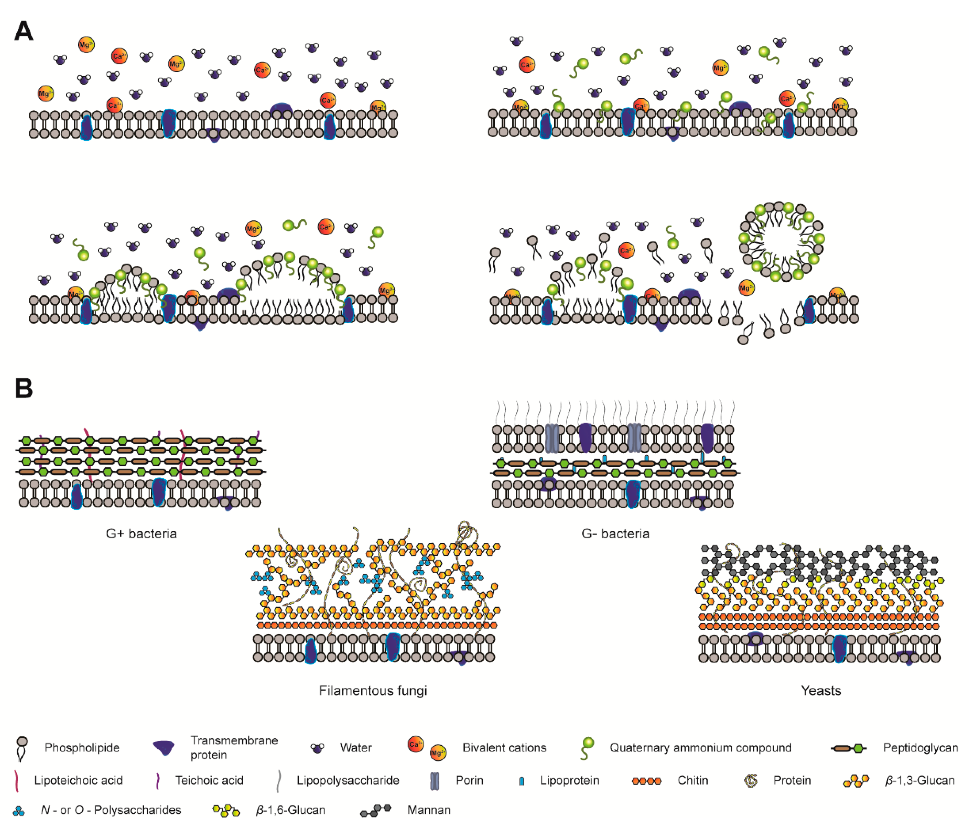 Molecules 25 02254 g001 Molecules 25 02254 g001