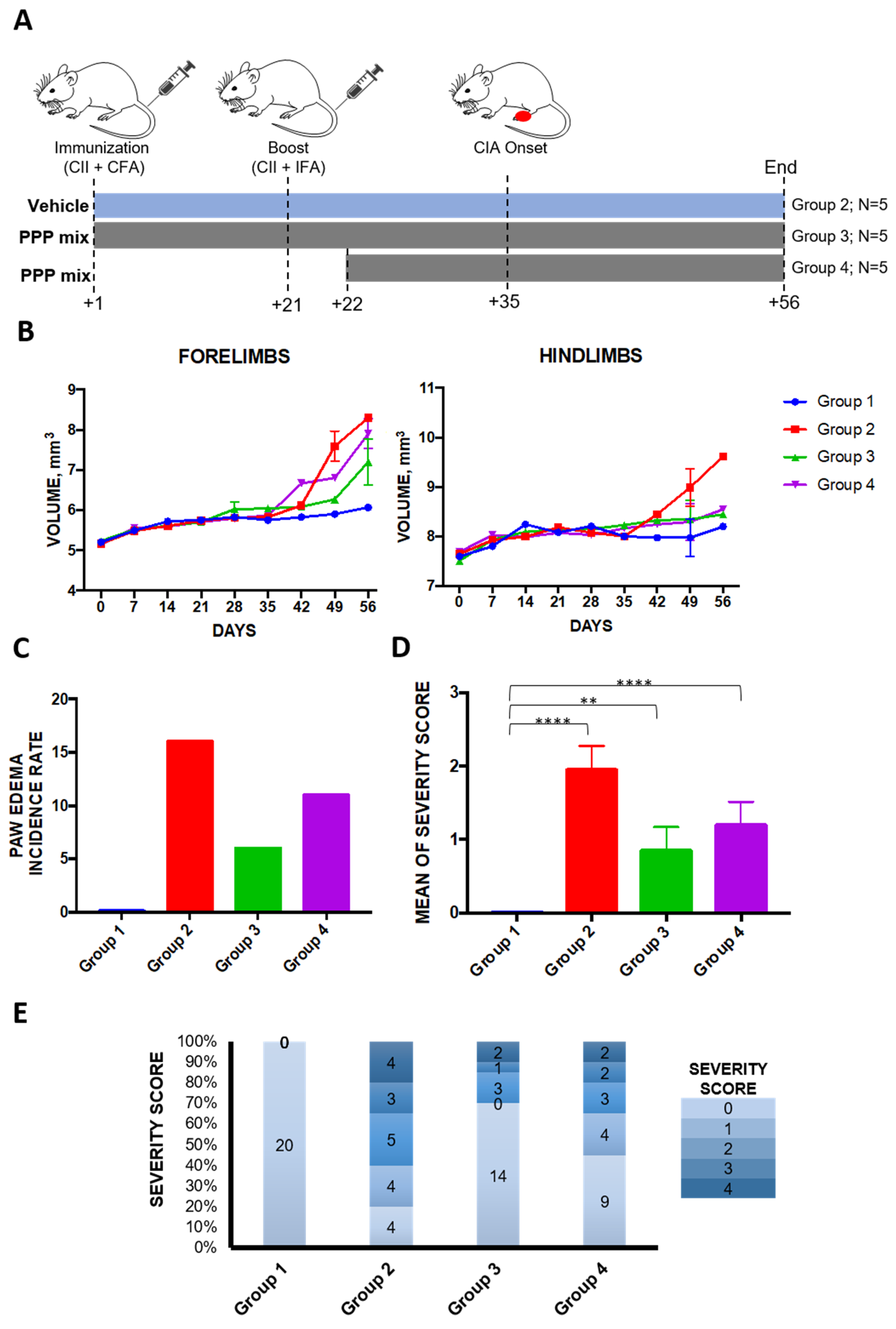 Molecules 25 02255 g003