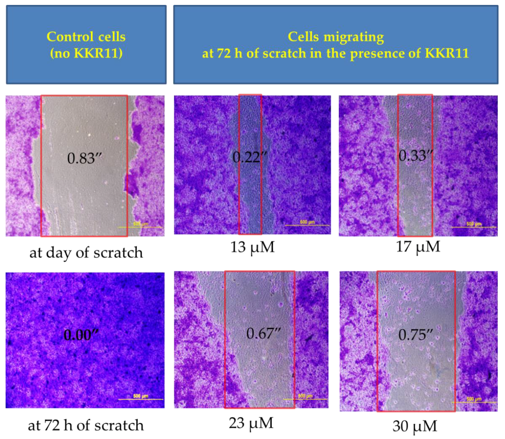 Molecules 25 02257 g009 Molecules 25 02257 g009