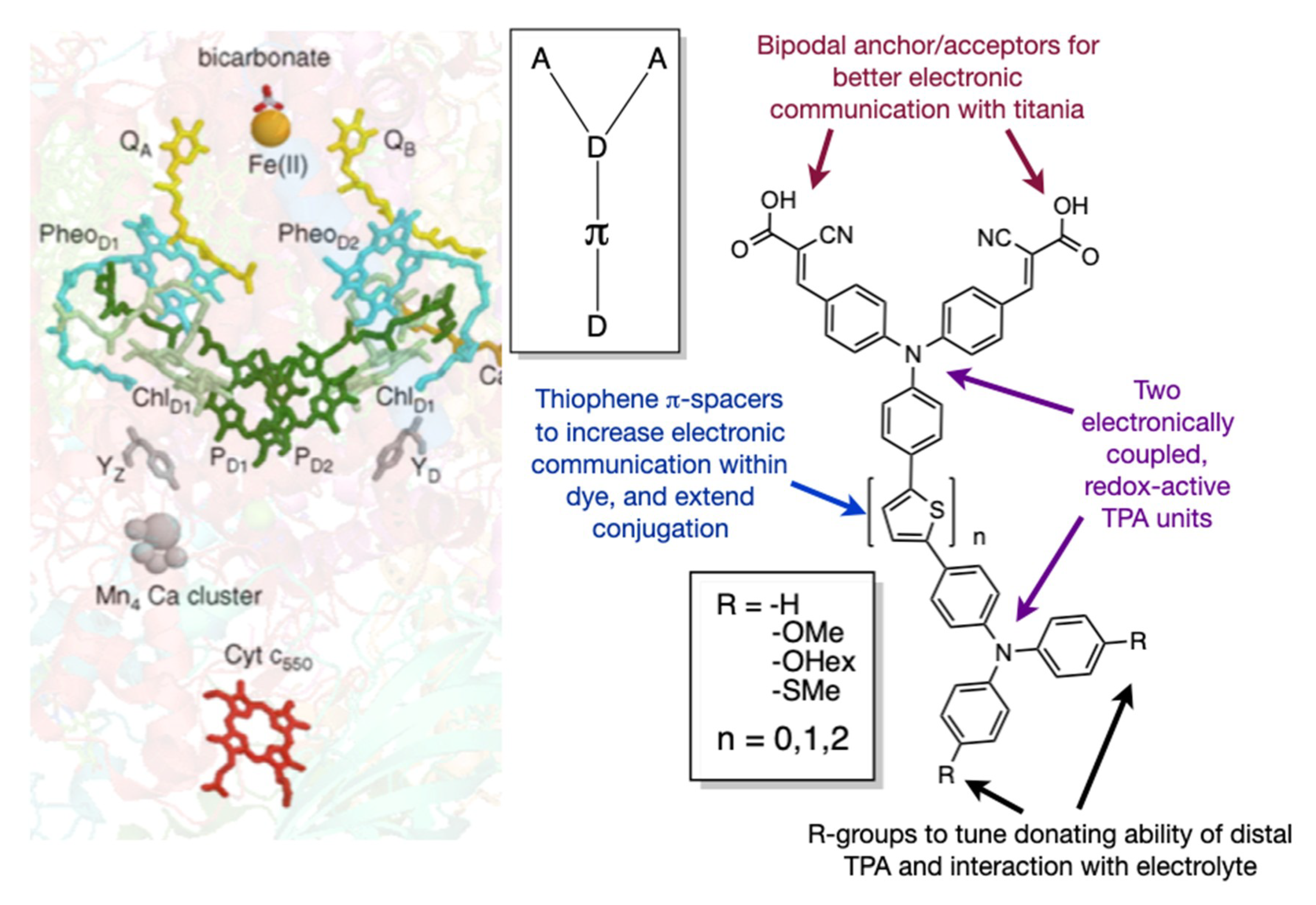 Molecules 25 02260 g001 Molecules 25 02260 g001