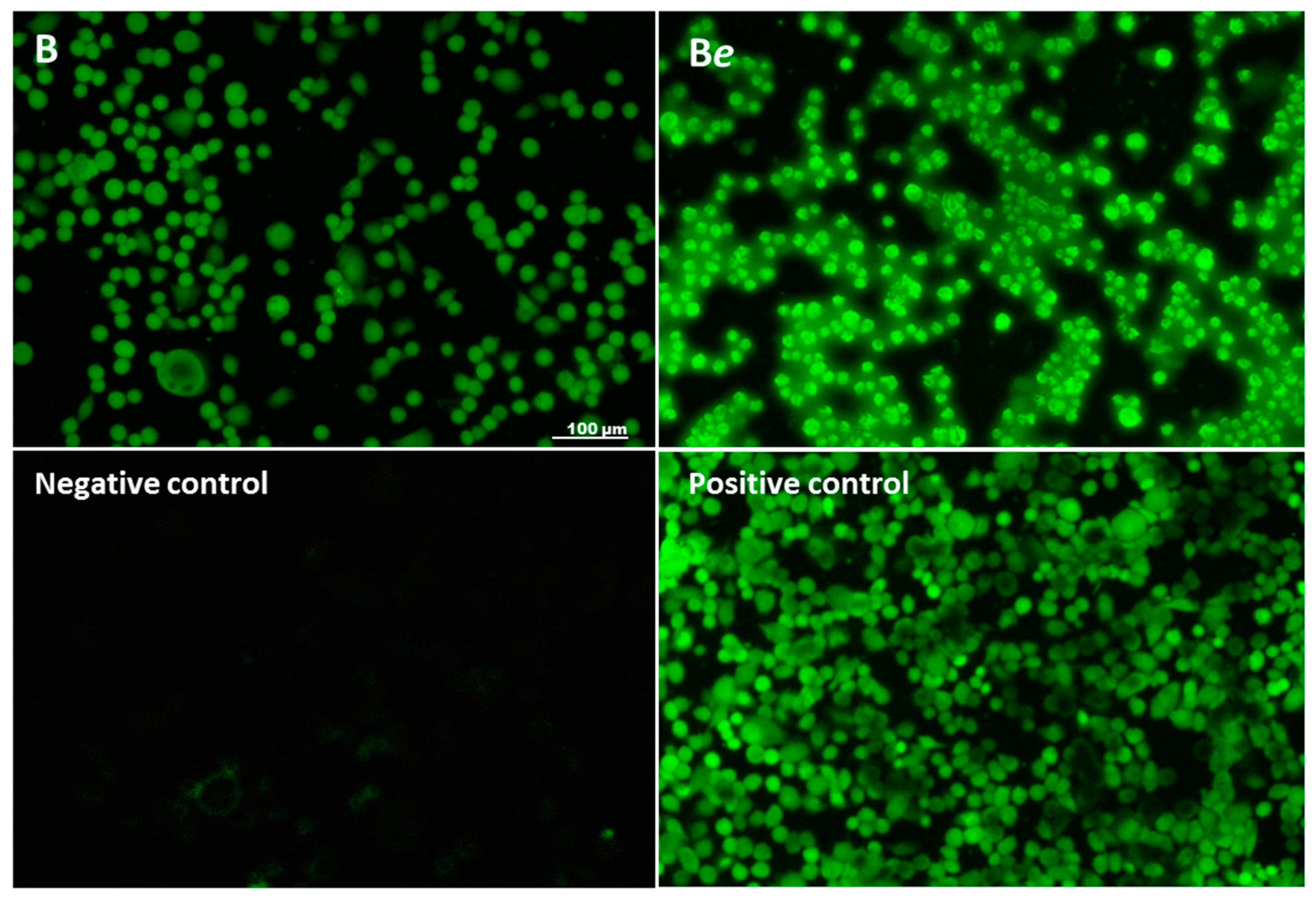 Molecules 25 02262 g005