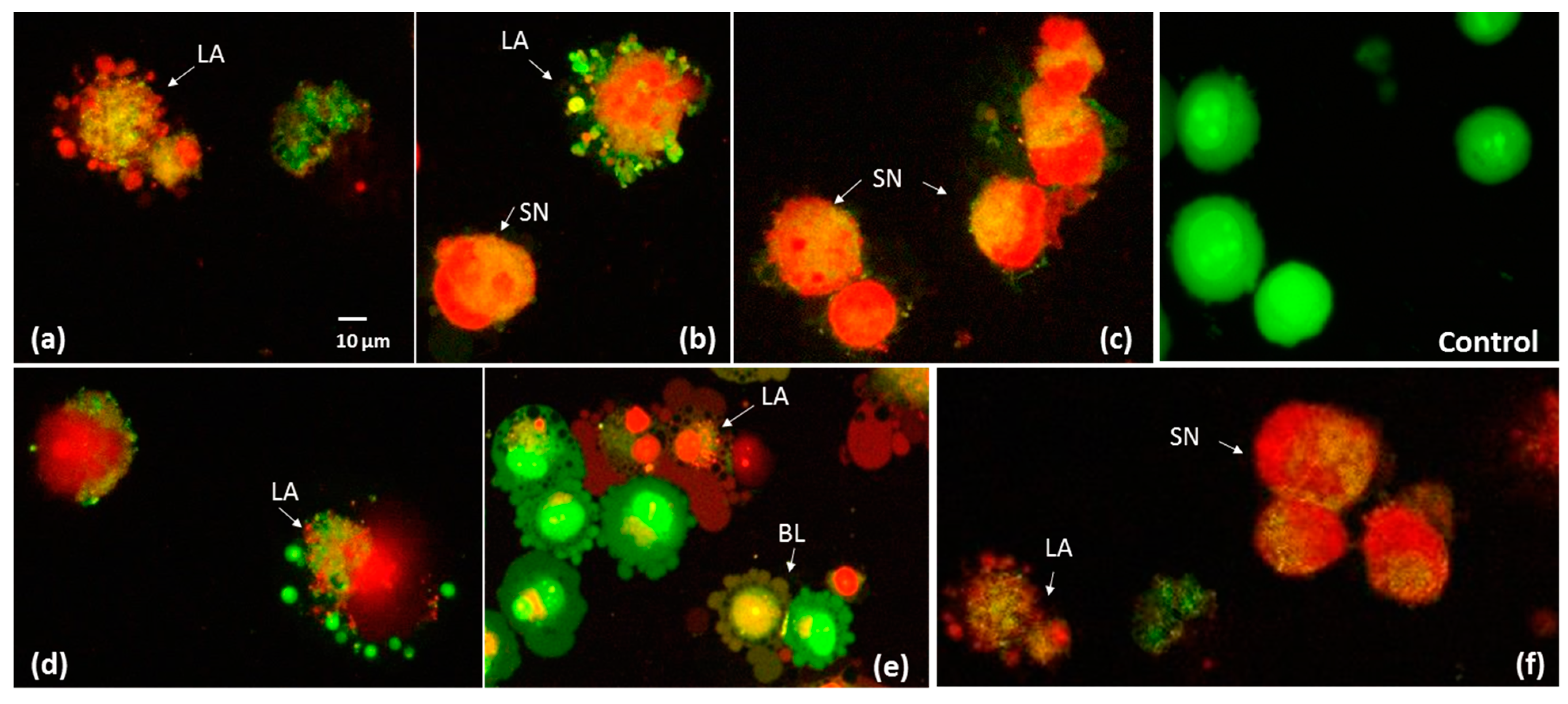Molecules 25 02262 g008