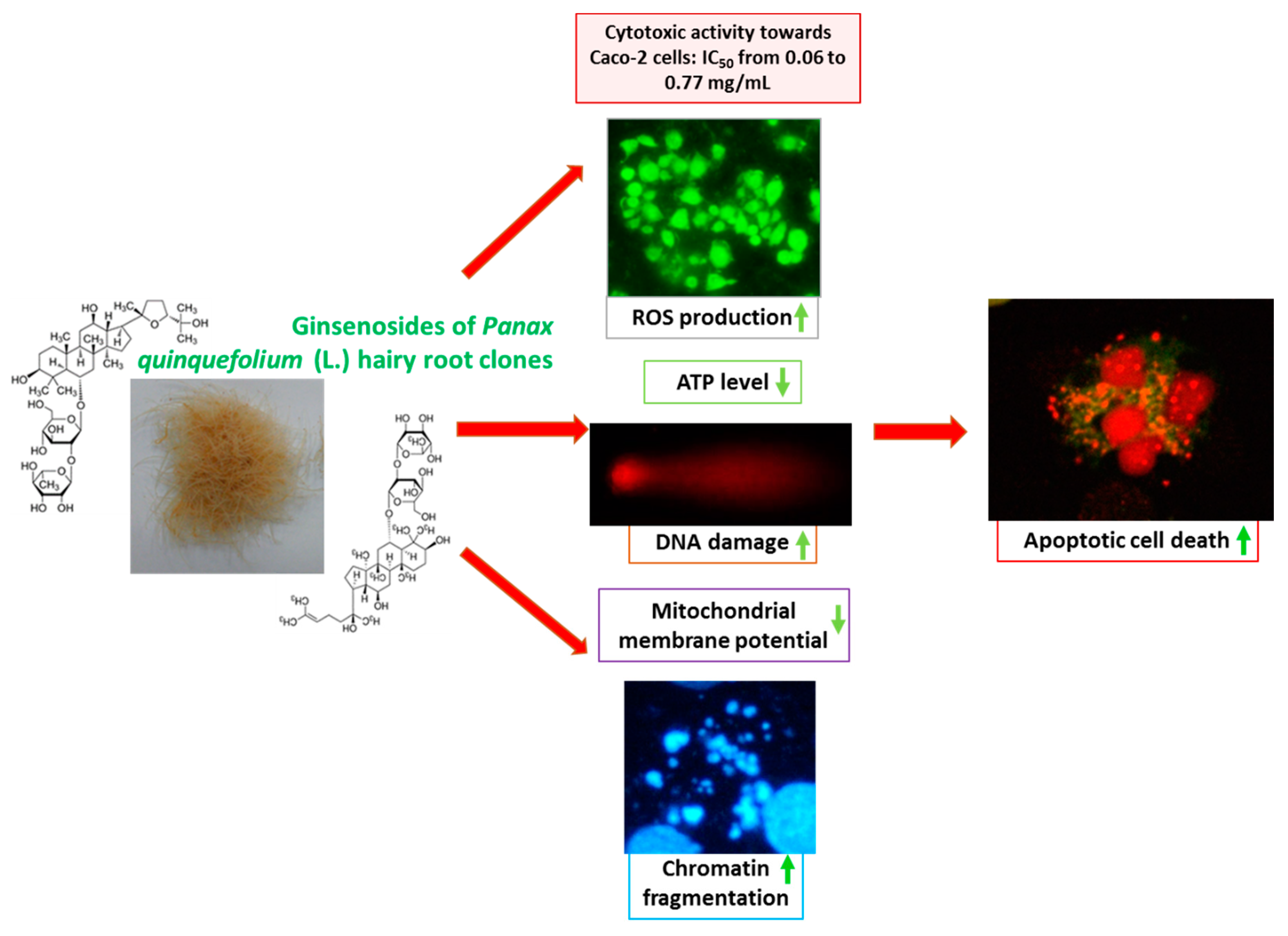 Molecules 25 02262 g009