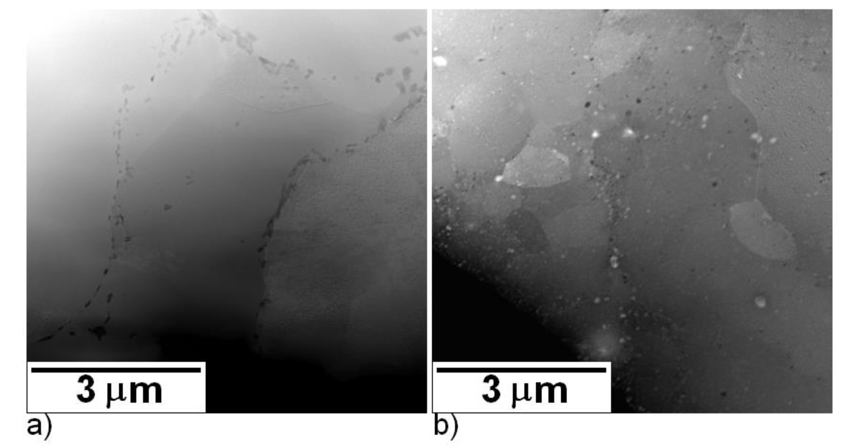 Molecules 25 02263 g008