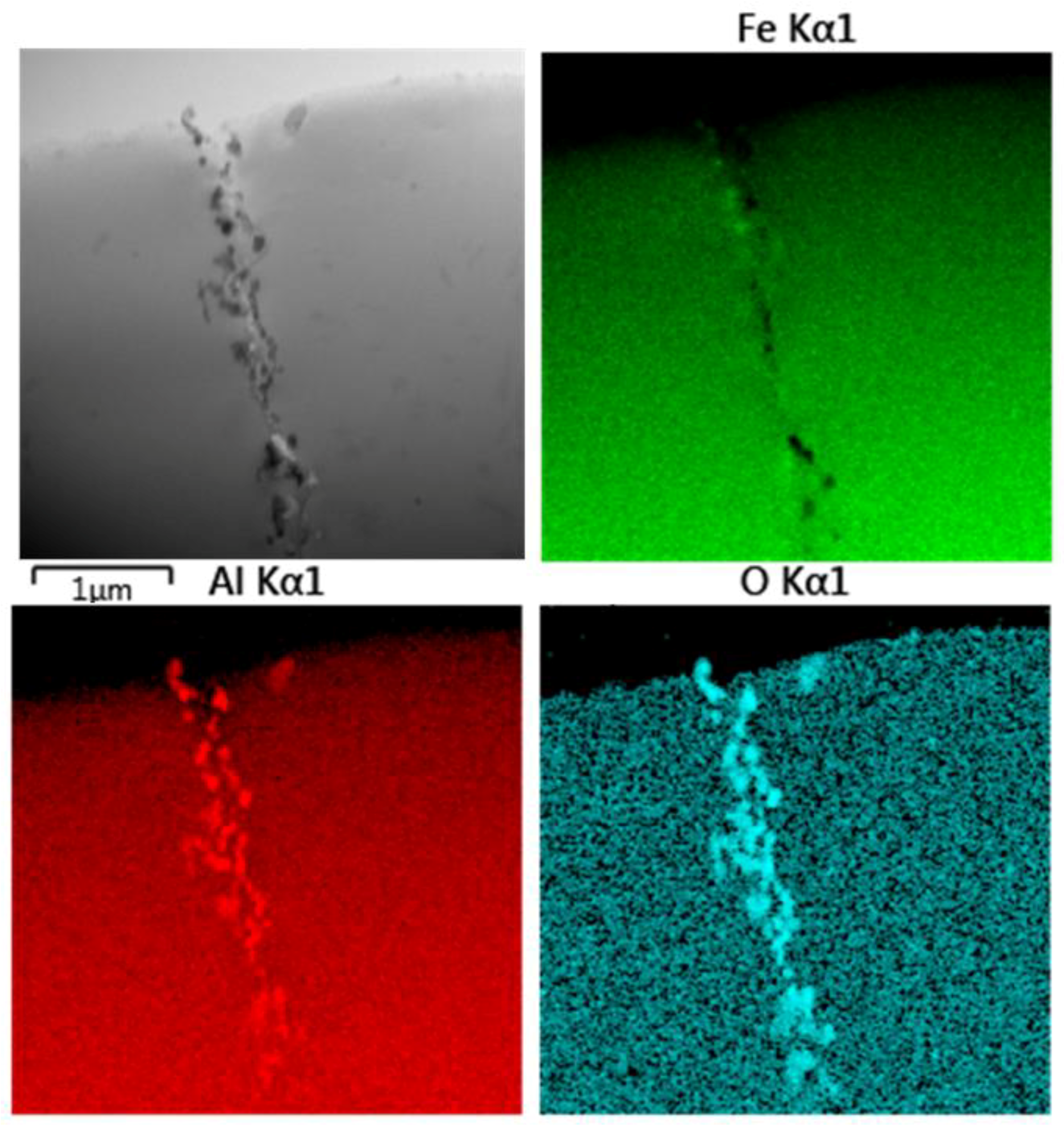 Molecules 25 02263 g009