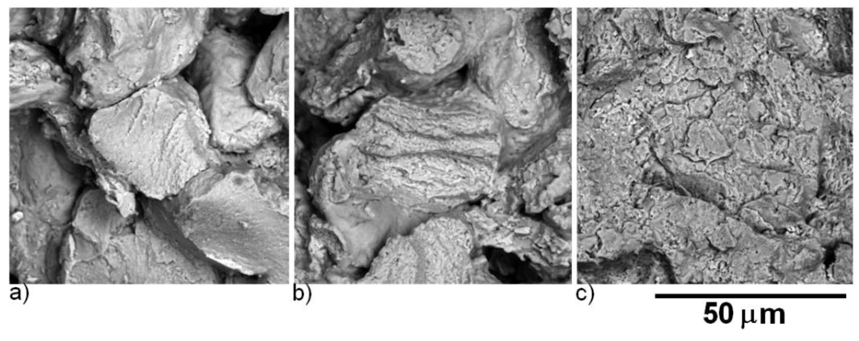 Molecules 25 02263 g015