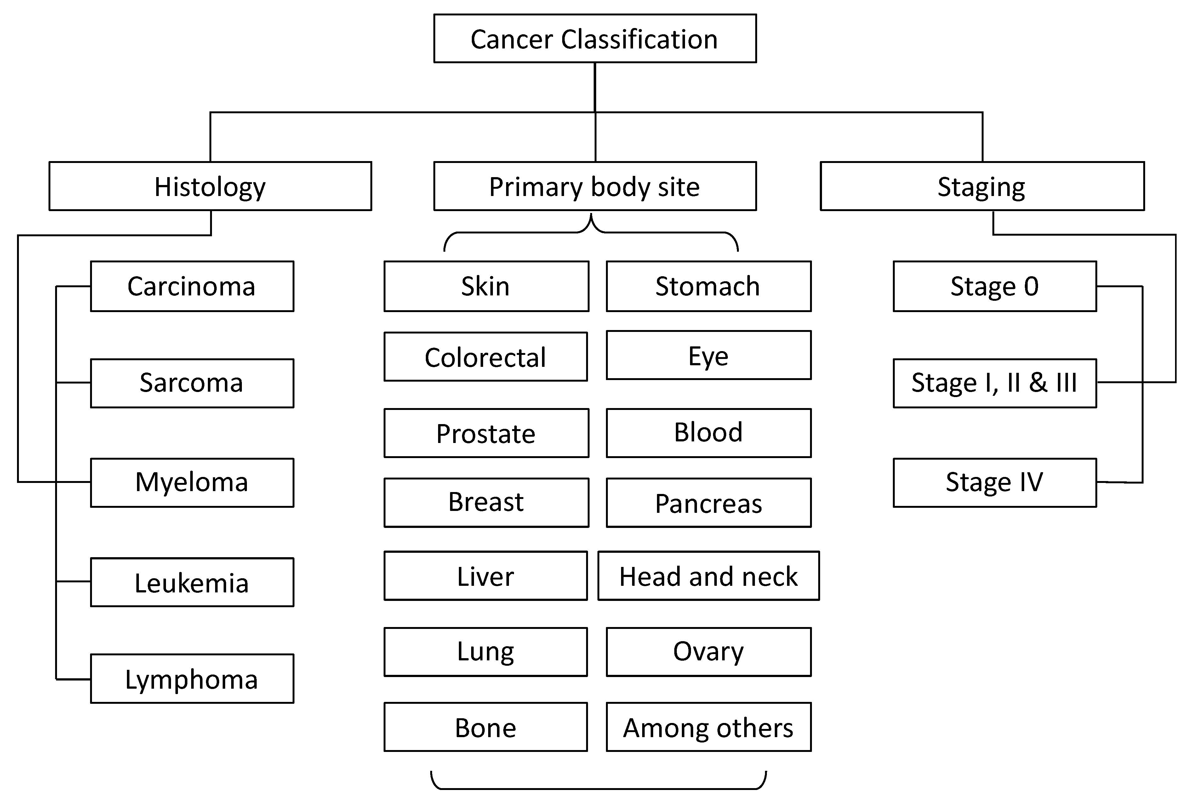 Molecules 25 02270 g004 Molecules 25 02270 g004