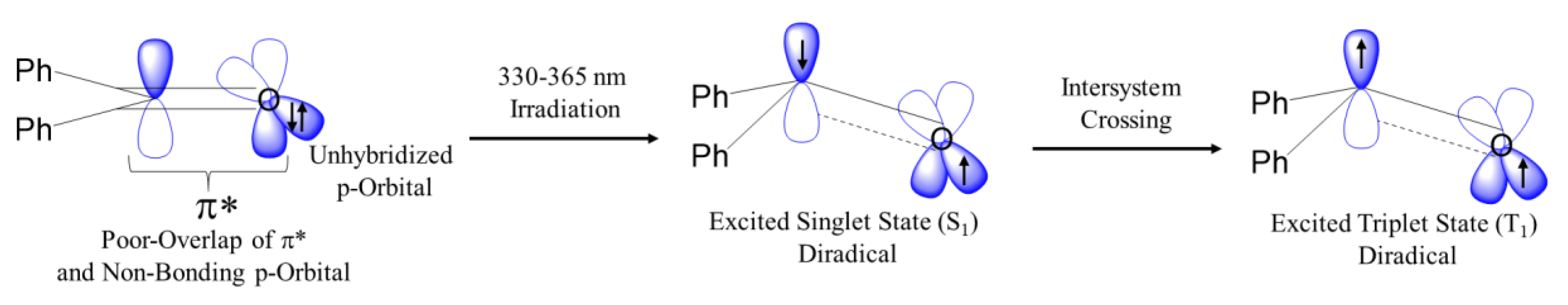 Molecules 25 02285 g001