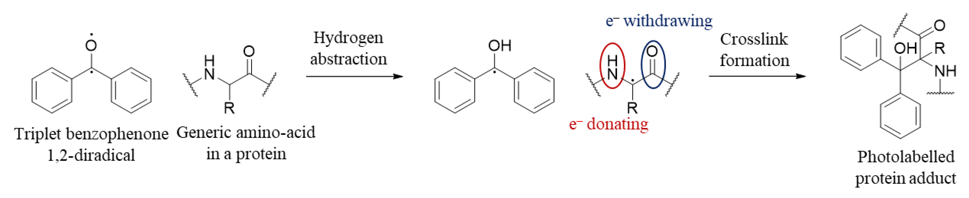 Molecules 25 02285 g002