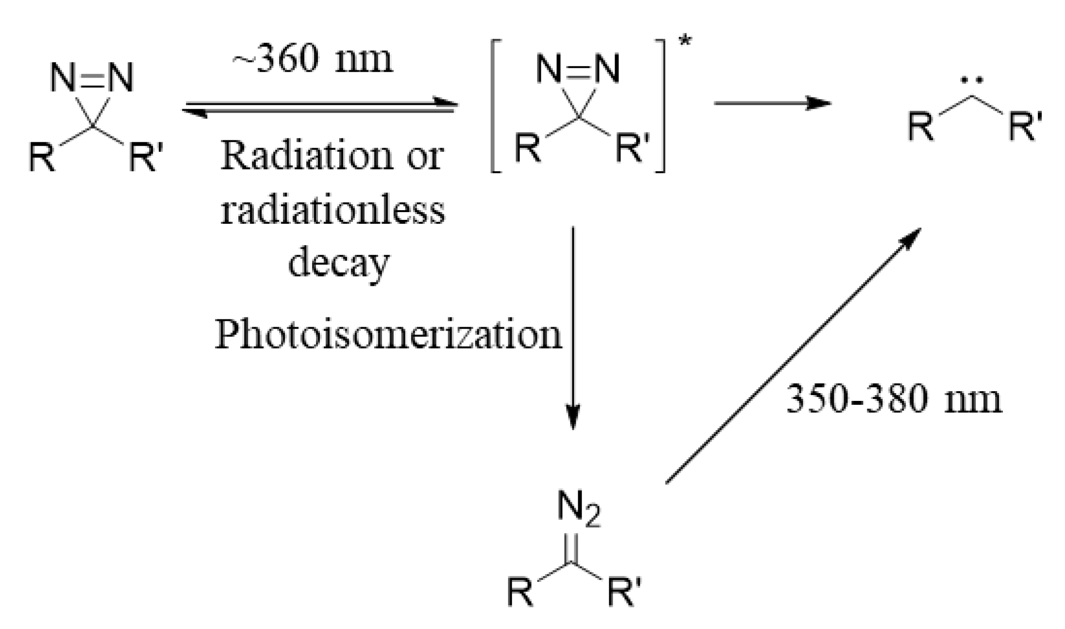 Molecules 25 02285 g003