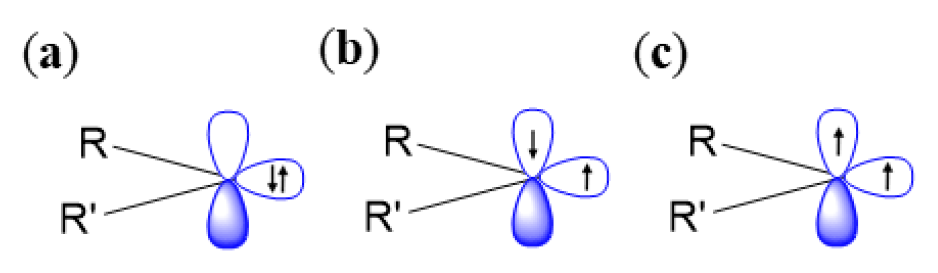 Molecules 25 02285 g004