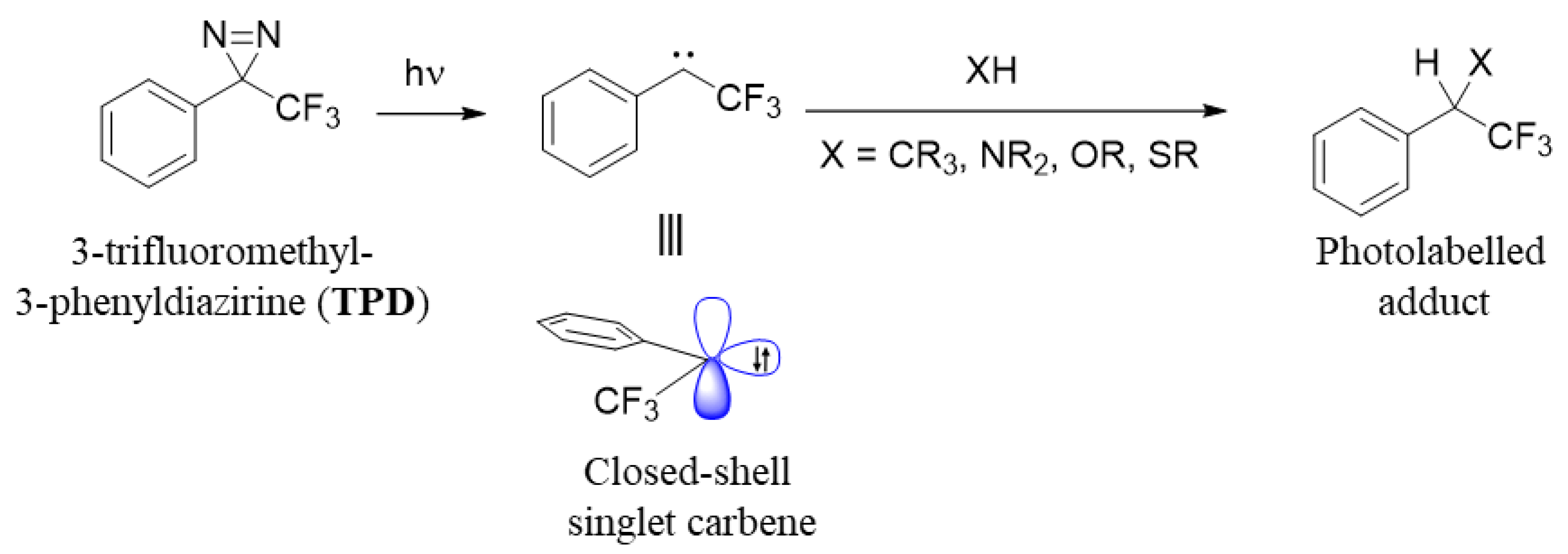 Molecules 25 02285 g005