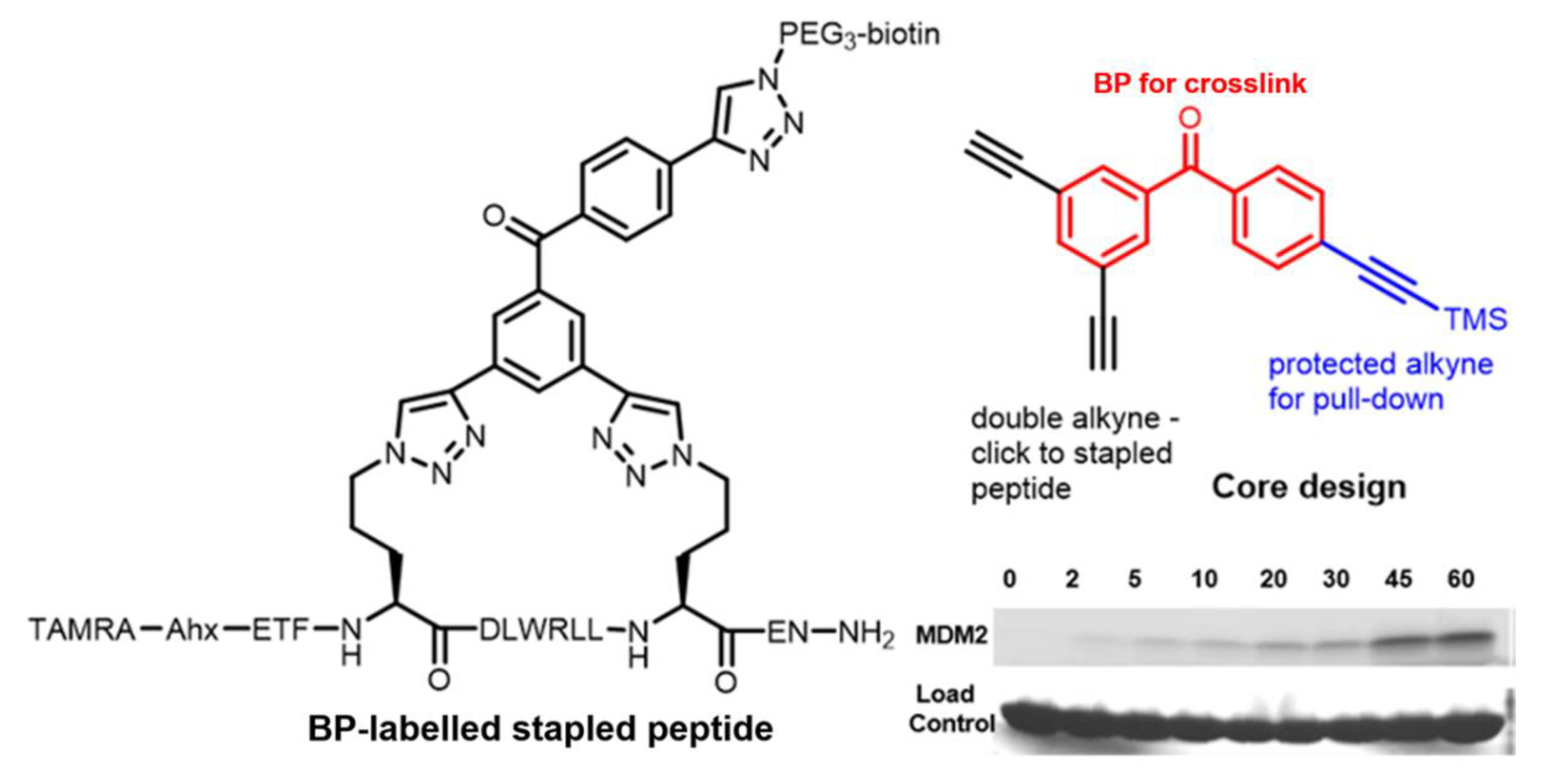 Molecules 25 02285 g007