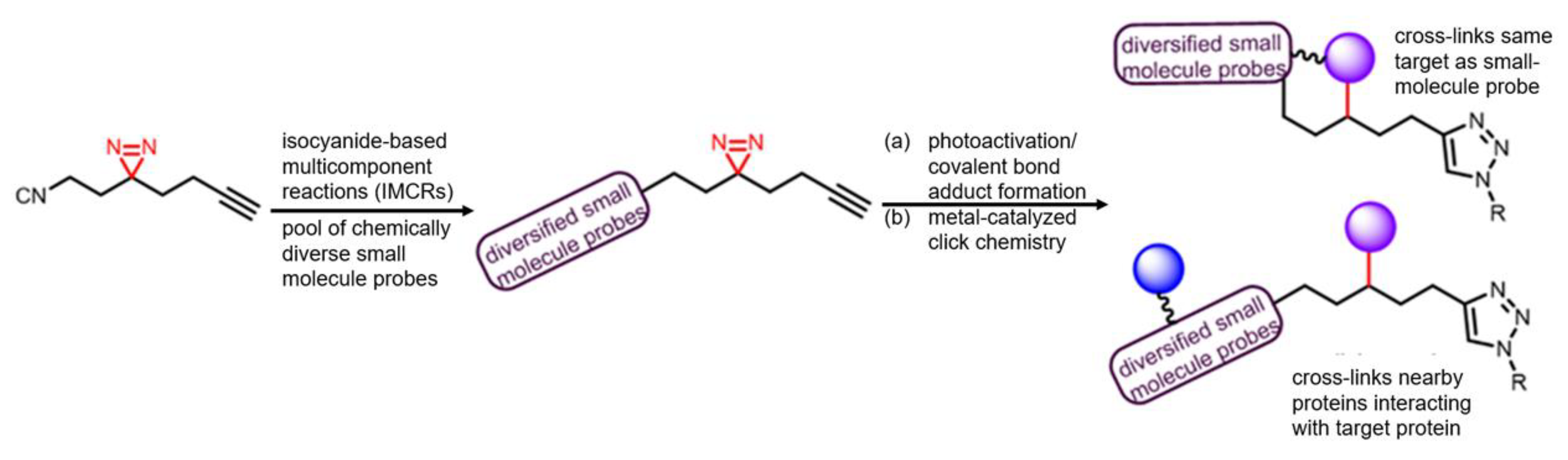 Molecules 25 02285 g012