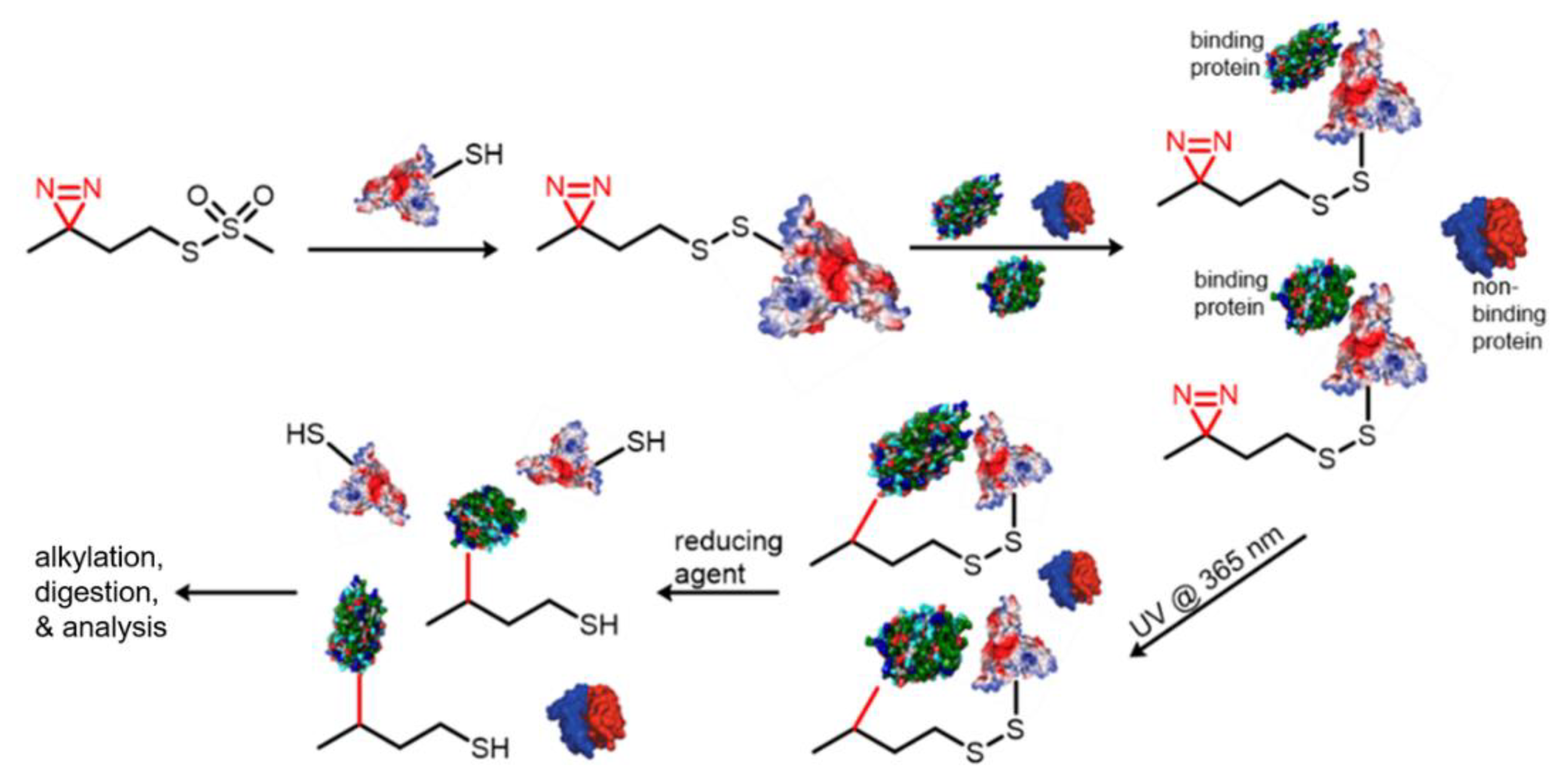 Molecules 25 02285 g014