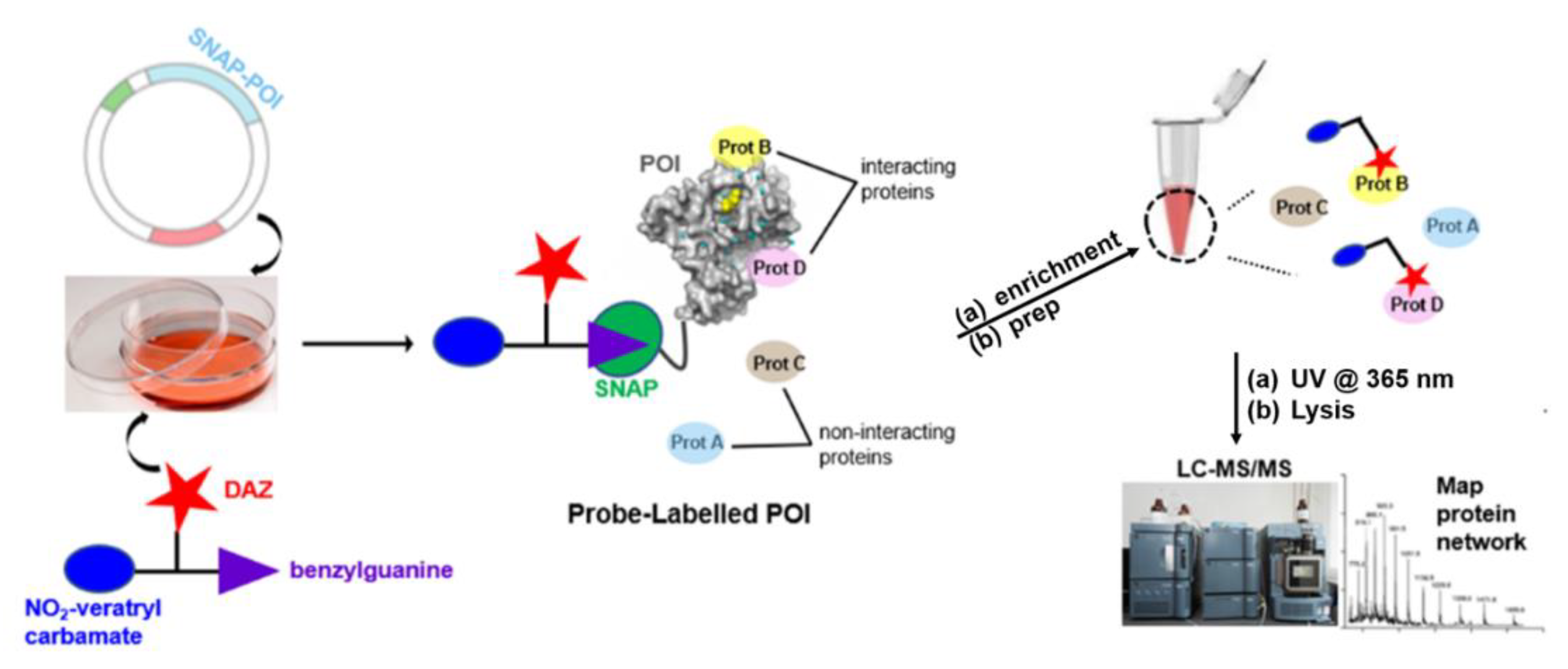 Molecules 25 02285 g016