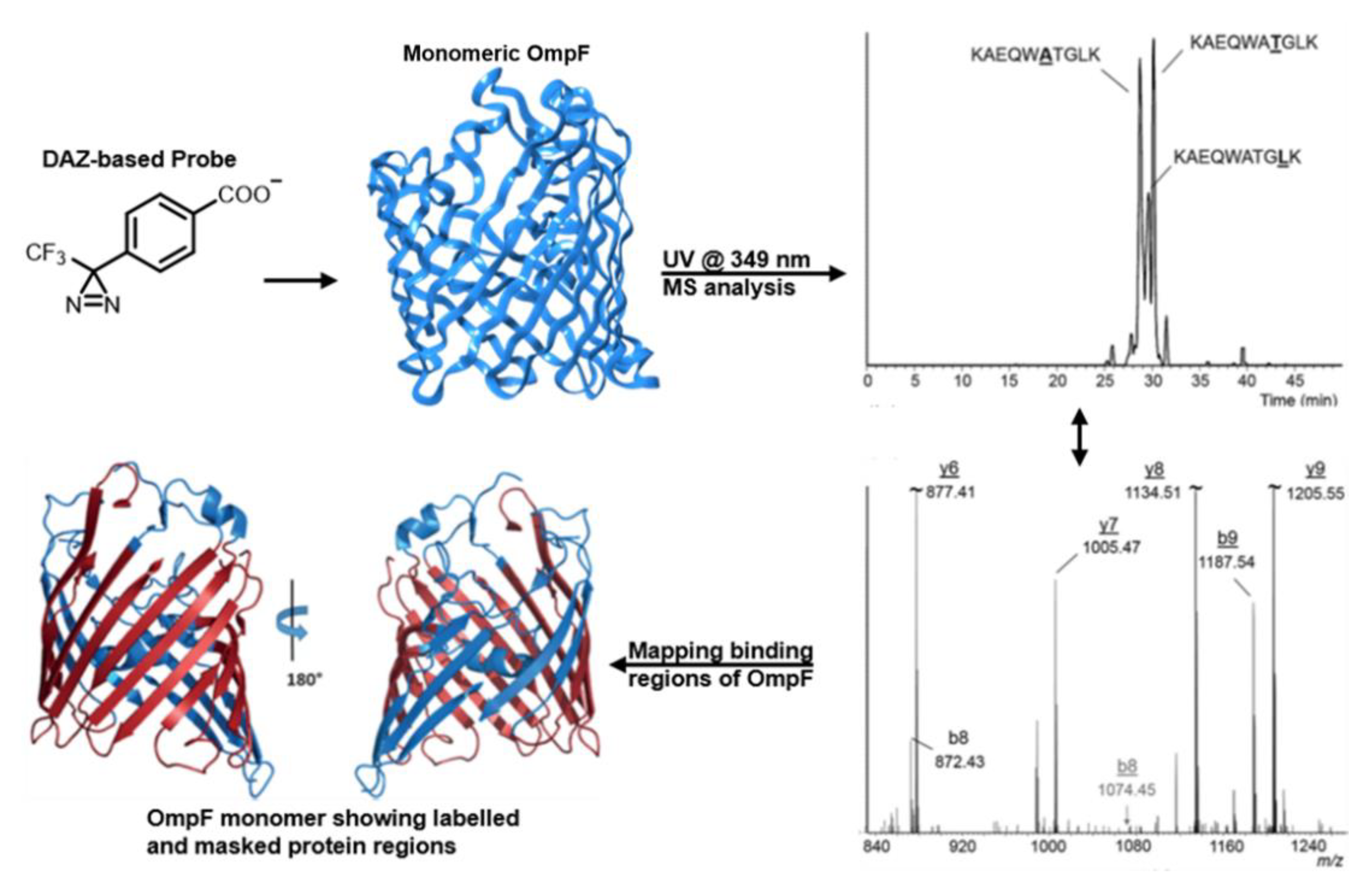 Molecules 25 02285 g017