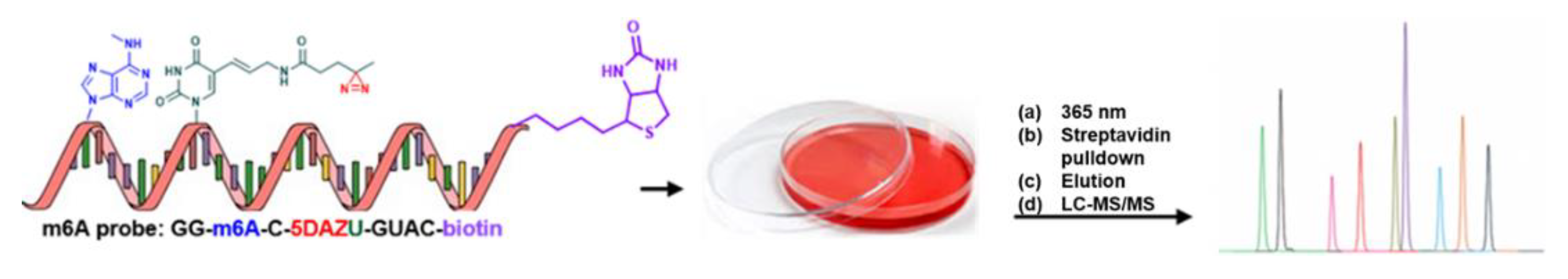 Molecules 25 02285 g018