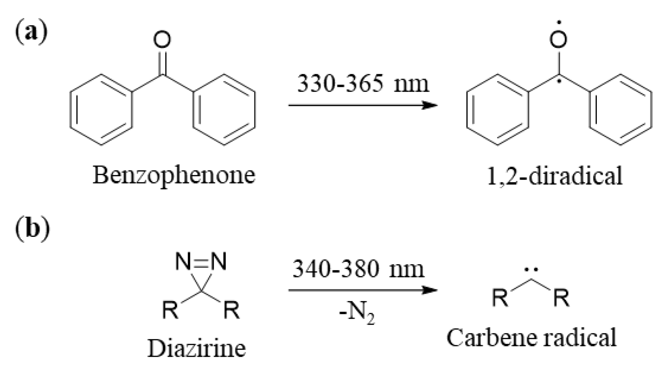 Molecules 25 02285 sch001