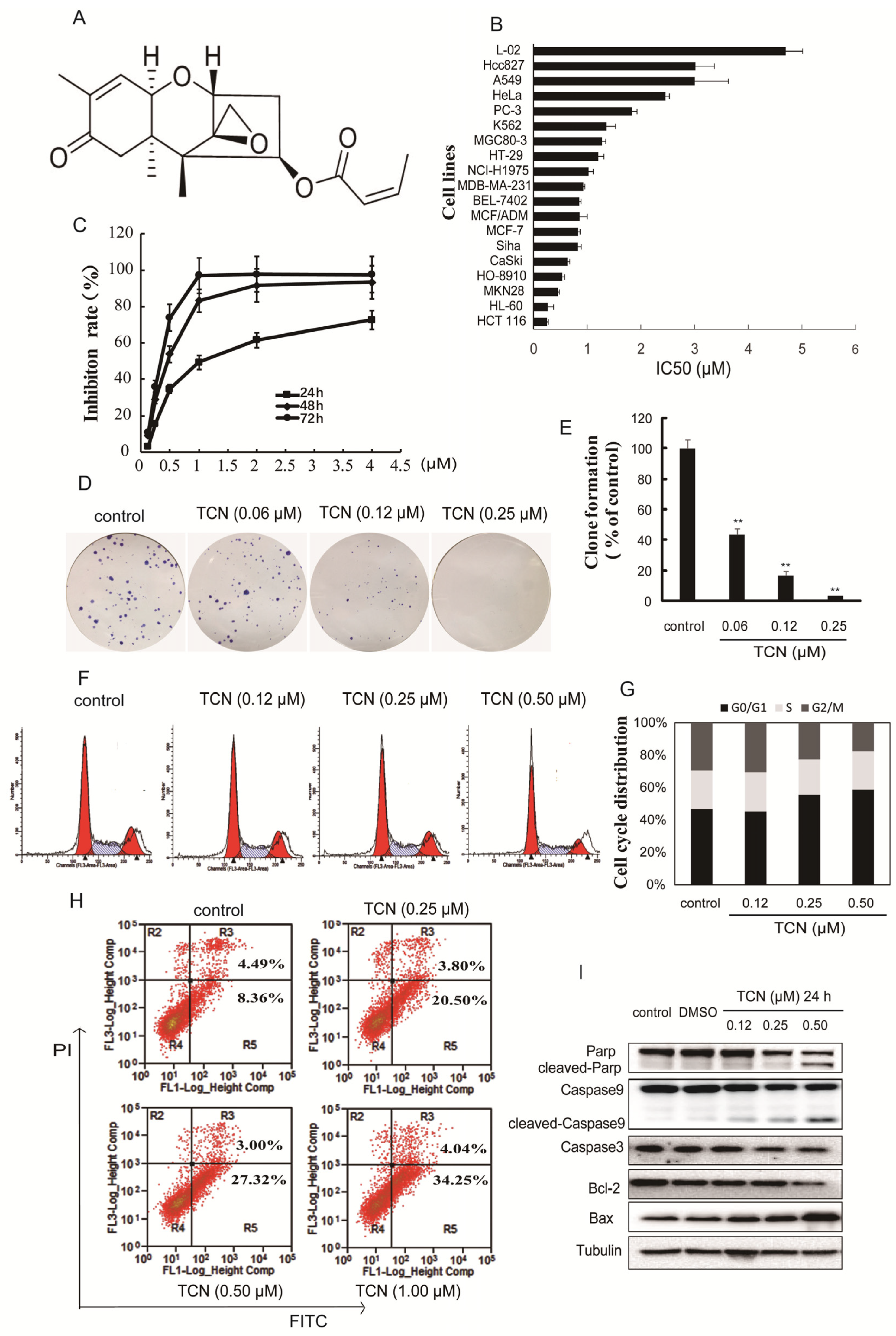 Molecules 25 02306 g001