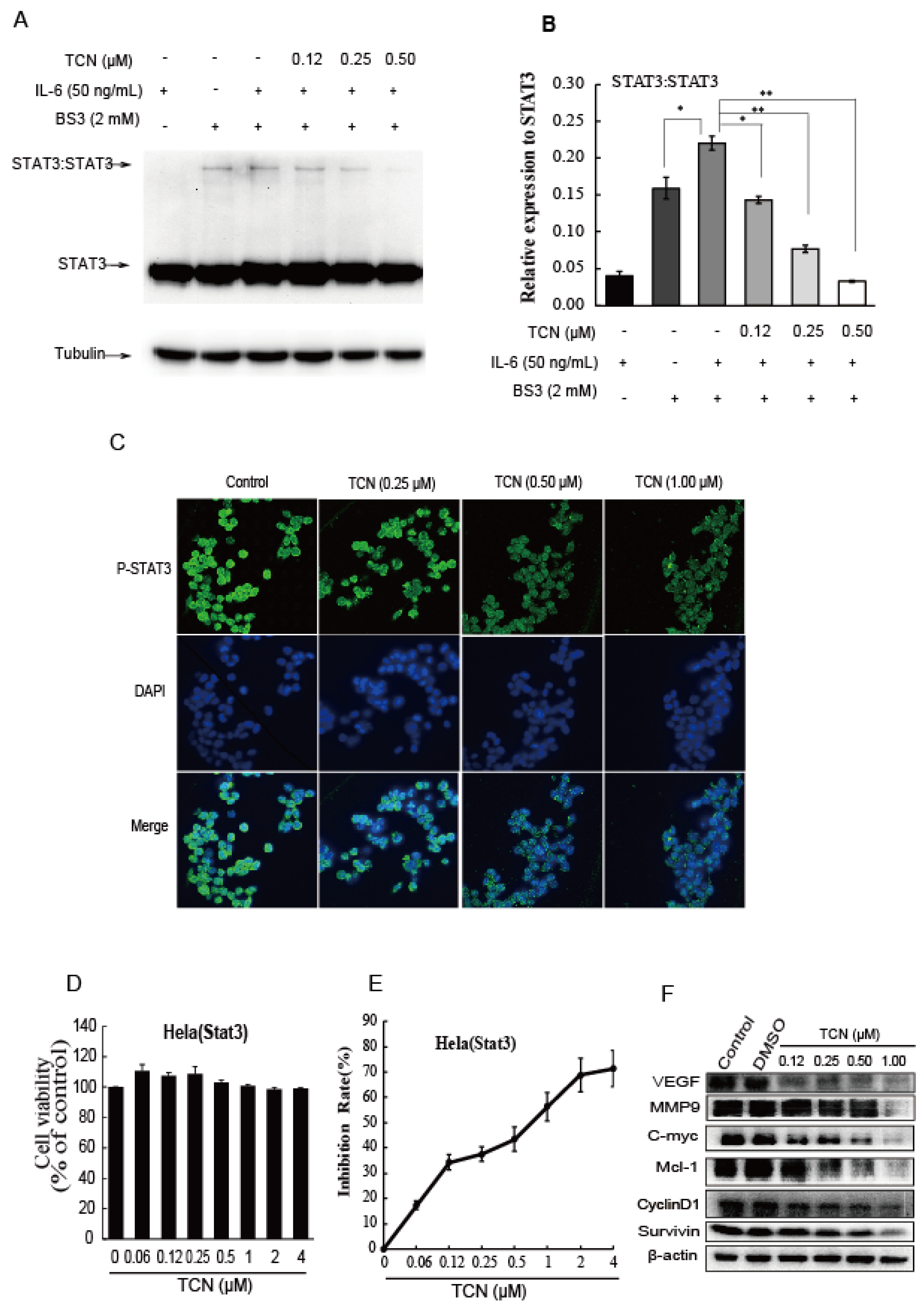 Molecules 25 02306 g003
