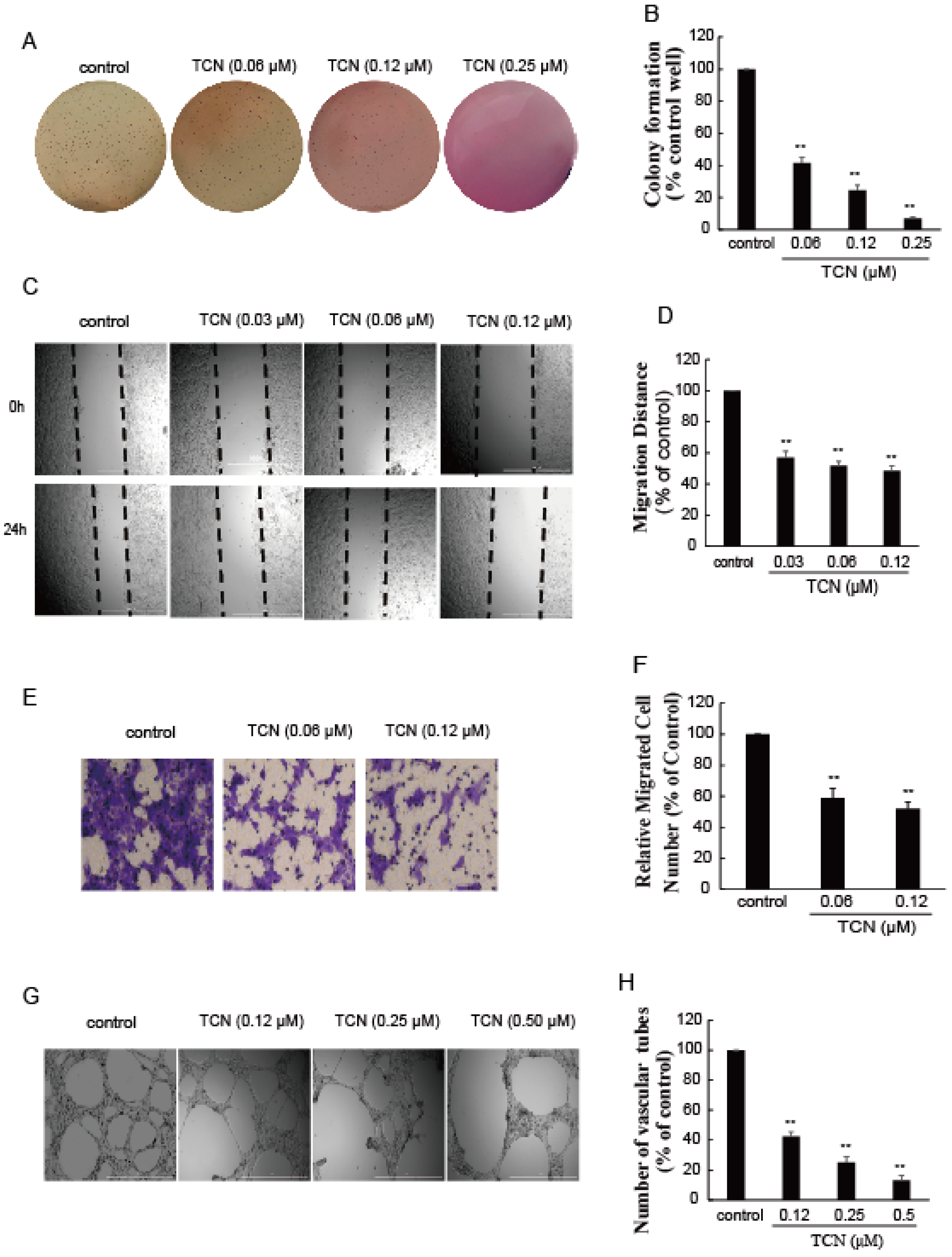 Molecules 25 02306 g005