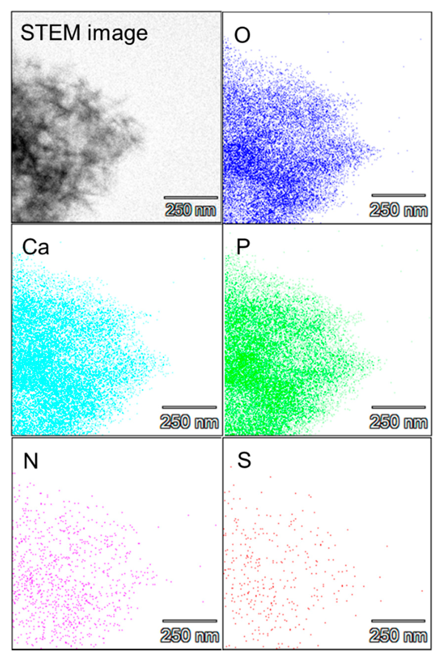 Molecules 25 02312 g002