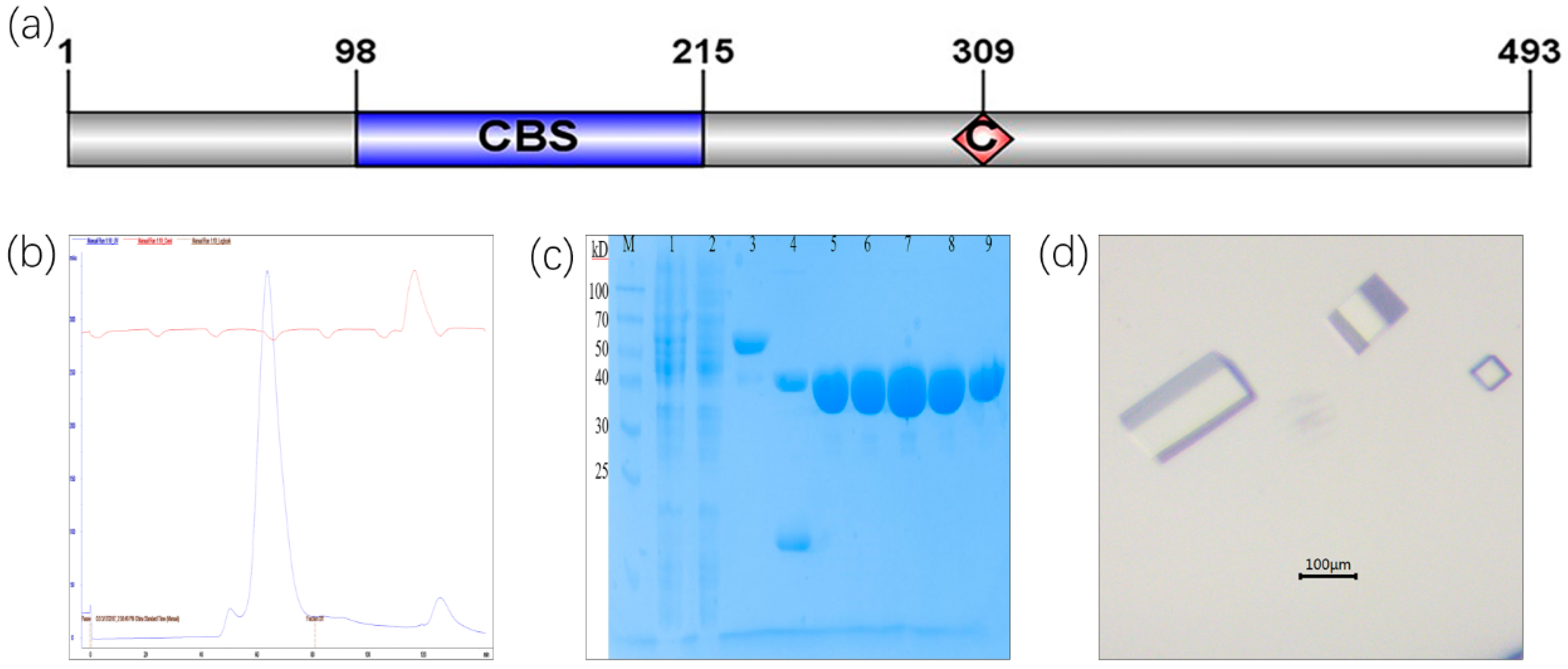 Molecules 25 02313 g001