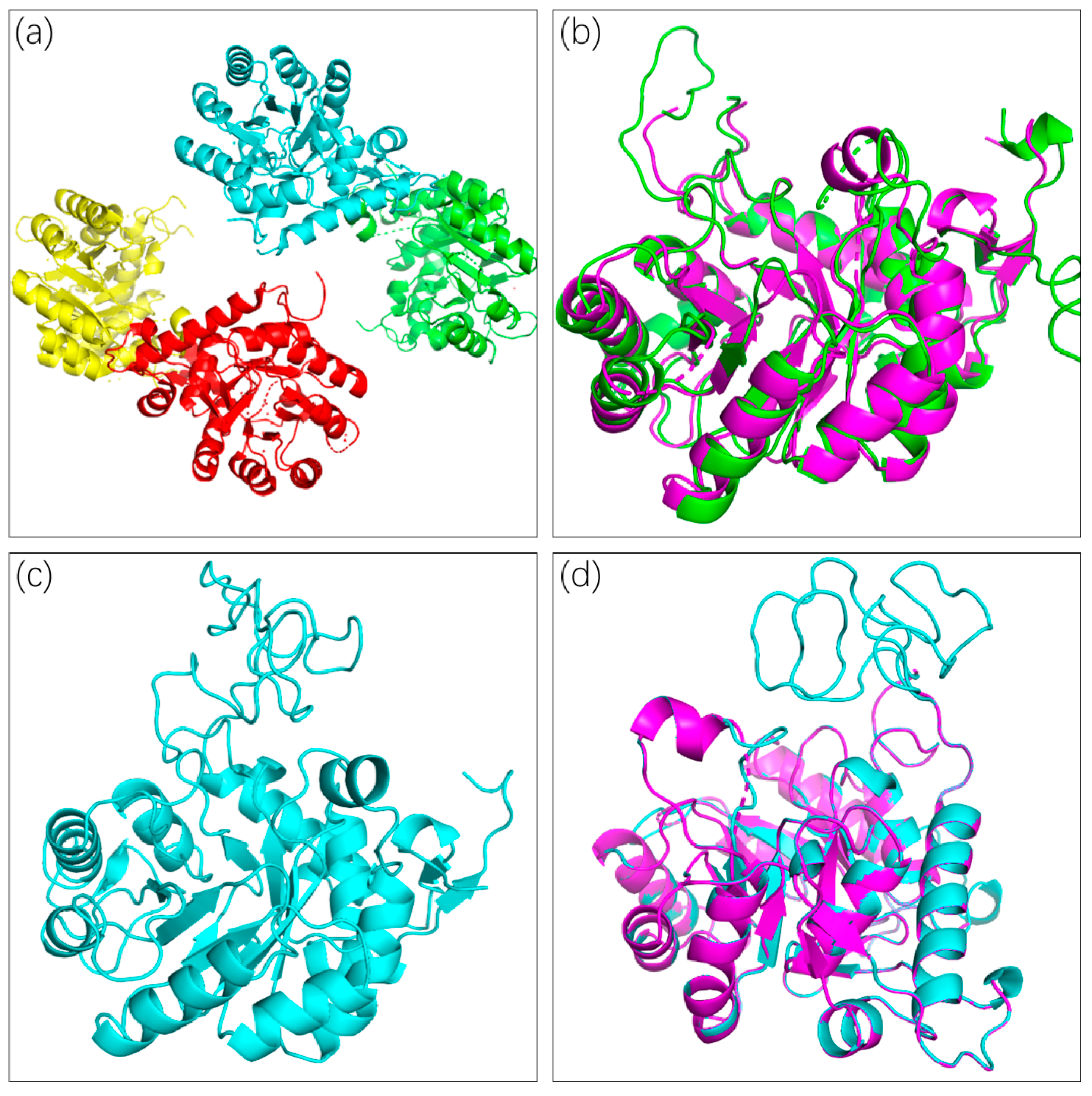 Molecules 25 02313 g002