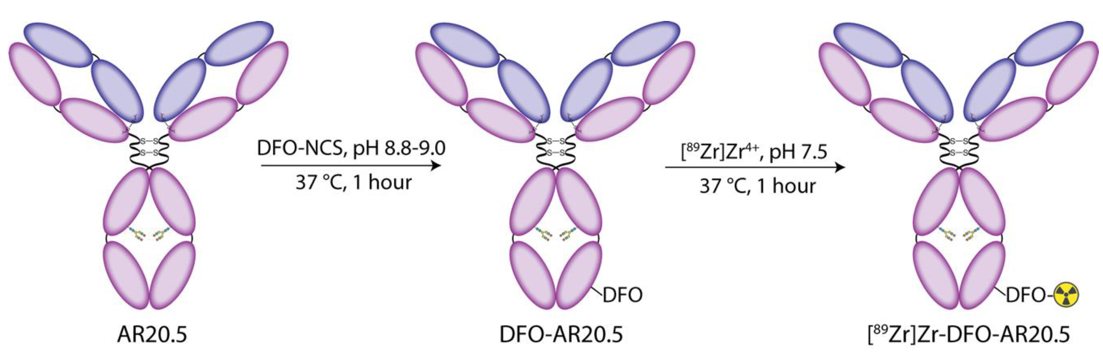 Molecules 25 02315 g001
