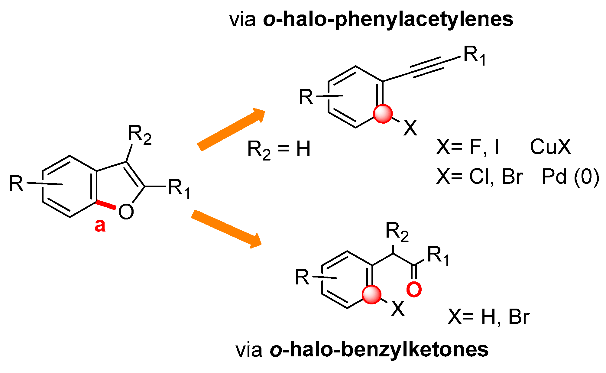 Molecules 25 02327 sch002