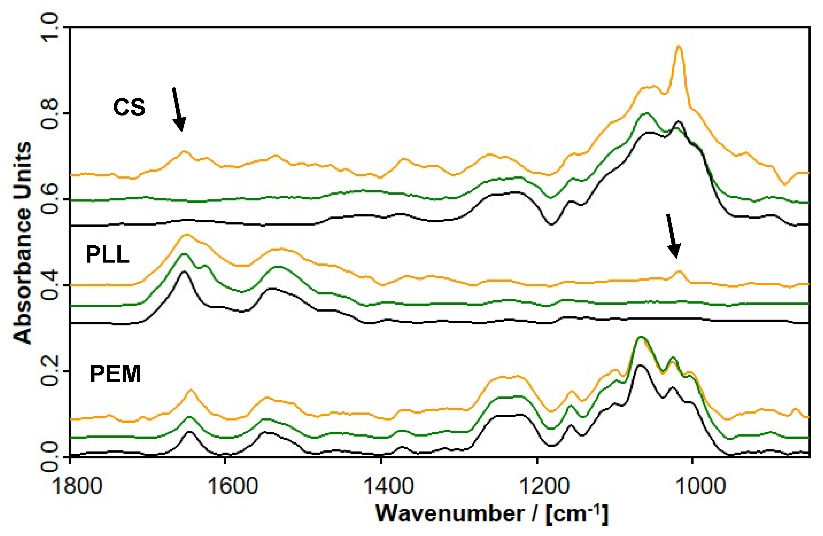Molecules 25 02336 g005 Molecules 25 02336 g005