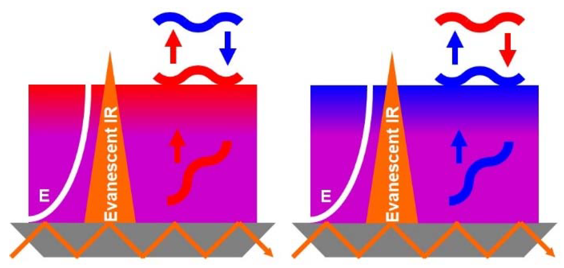 Molecules 25 02336 g006 Molecules 25 02336 g006