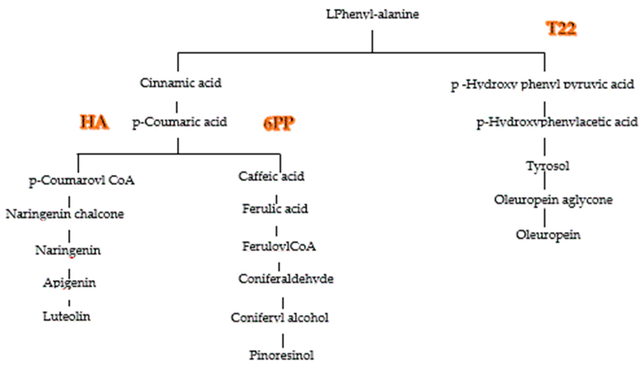 Molecules 25 02345 g008